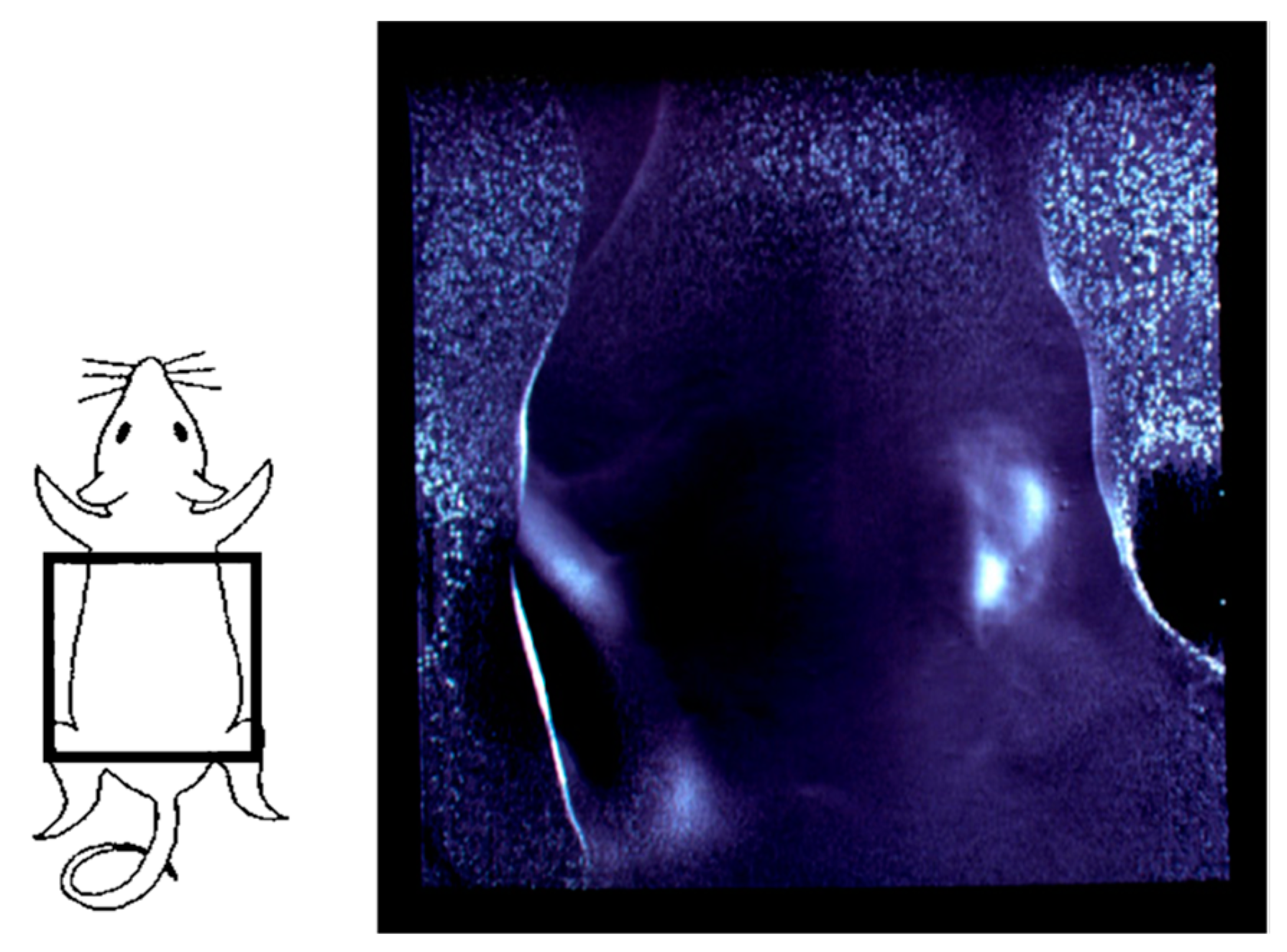Biology 12 01362 g005 Biology 12 01362 g005