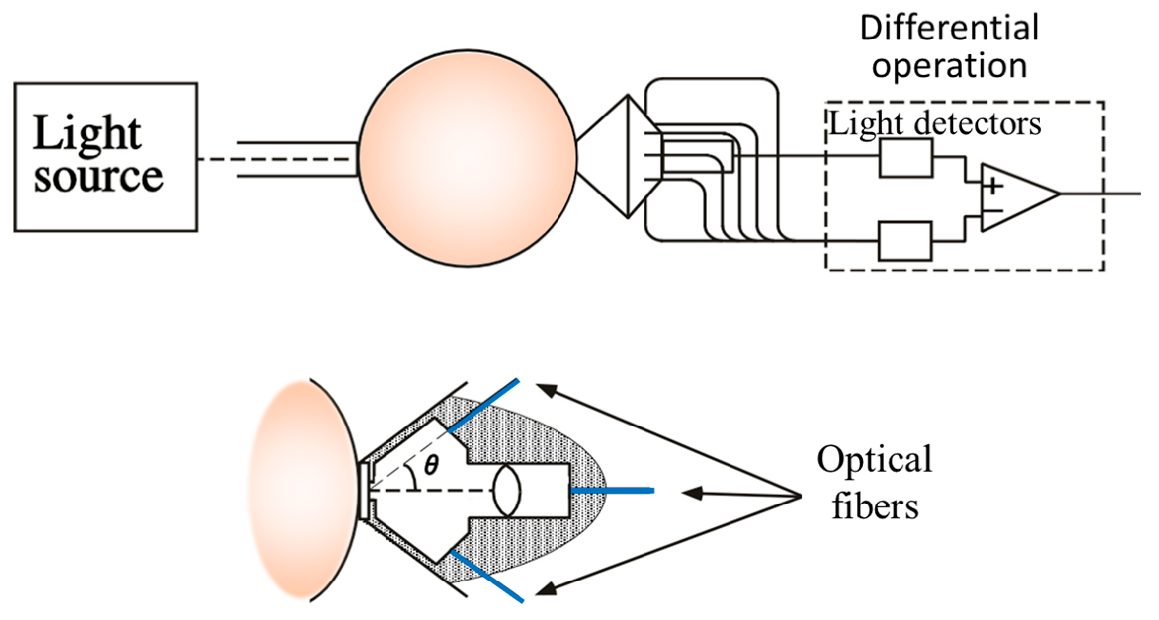 Biology 12 01362 g008 Biology 12 01362 g008