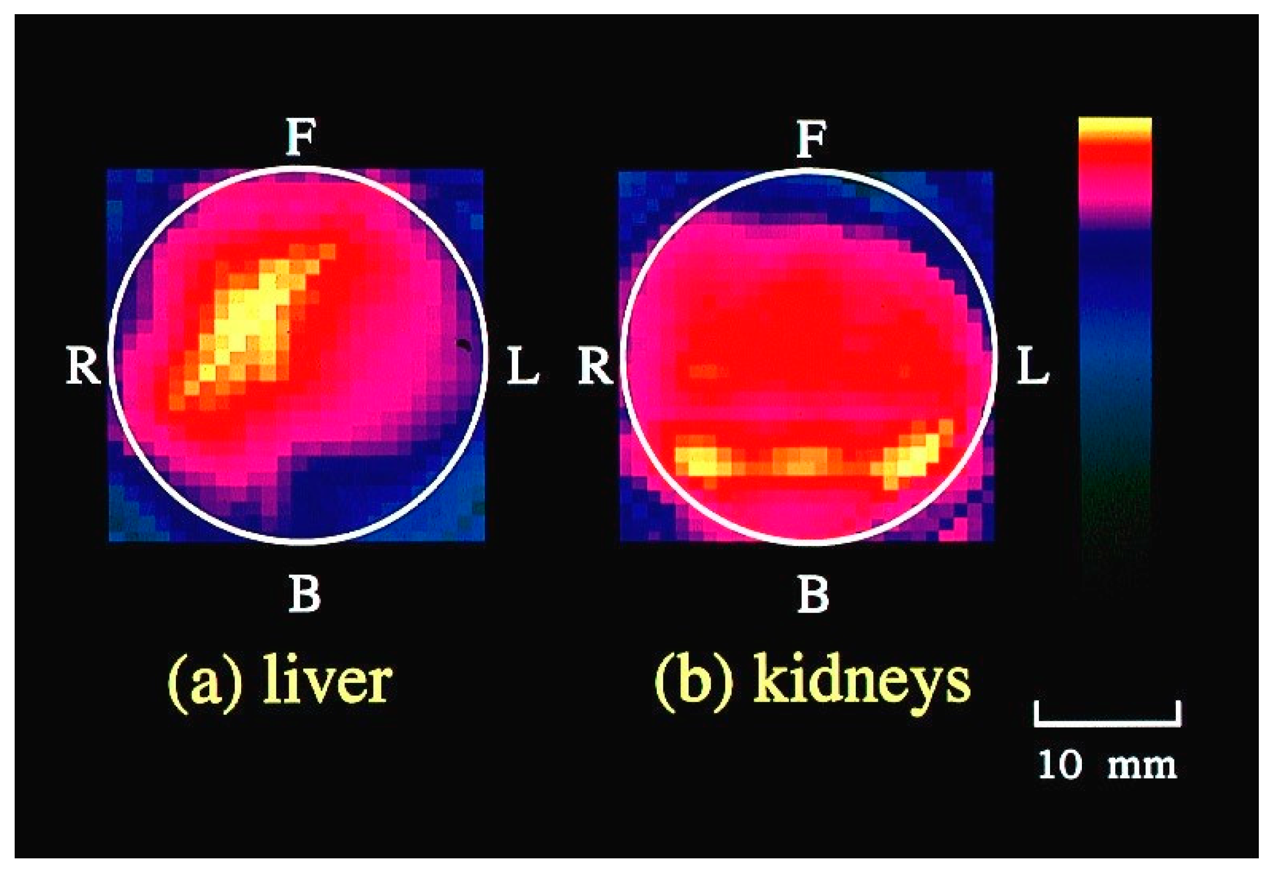 Biology 12 01362 g009 Biology 12 01362 g009