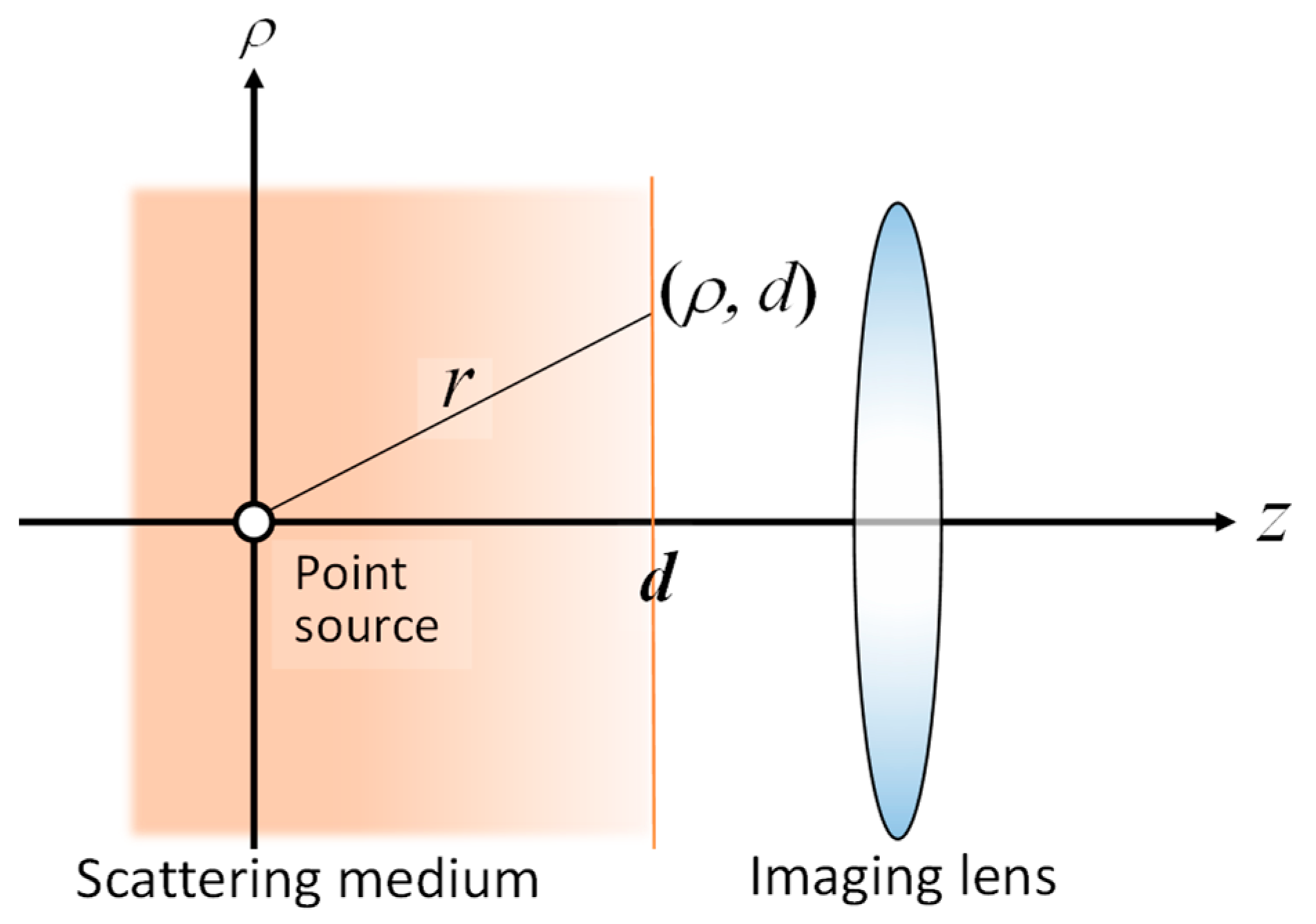 Biology 12 01362 g010 Biology 12 01362 g010