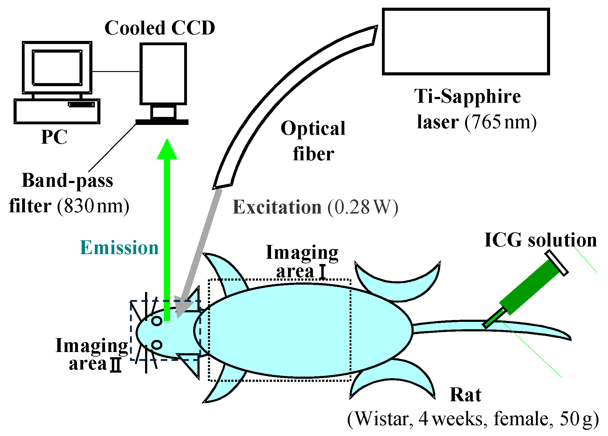 Biology 12 01362 g011 Biology 12 01362 g011
