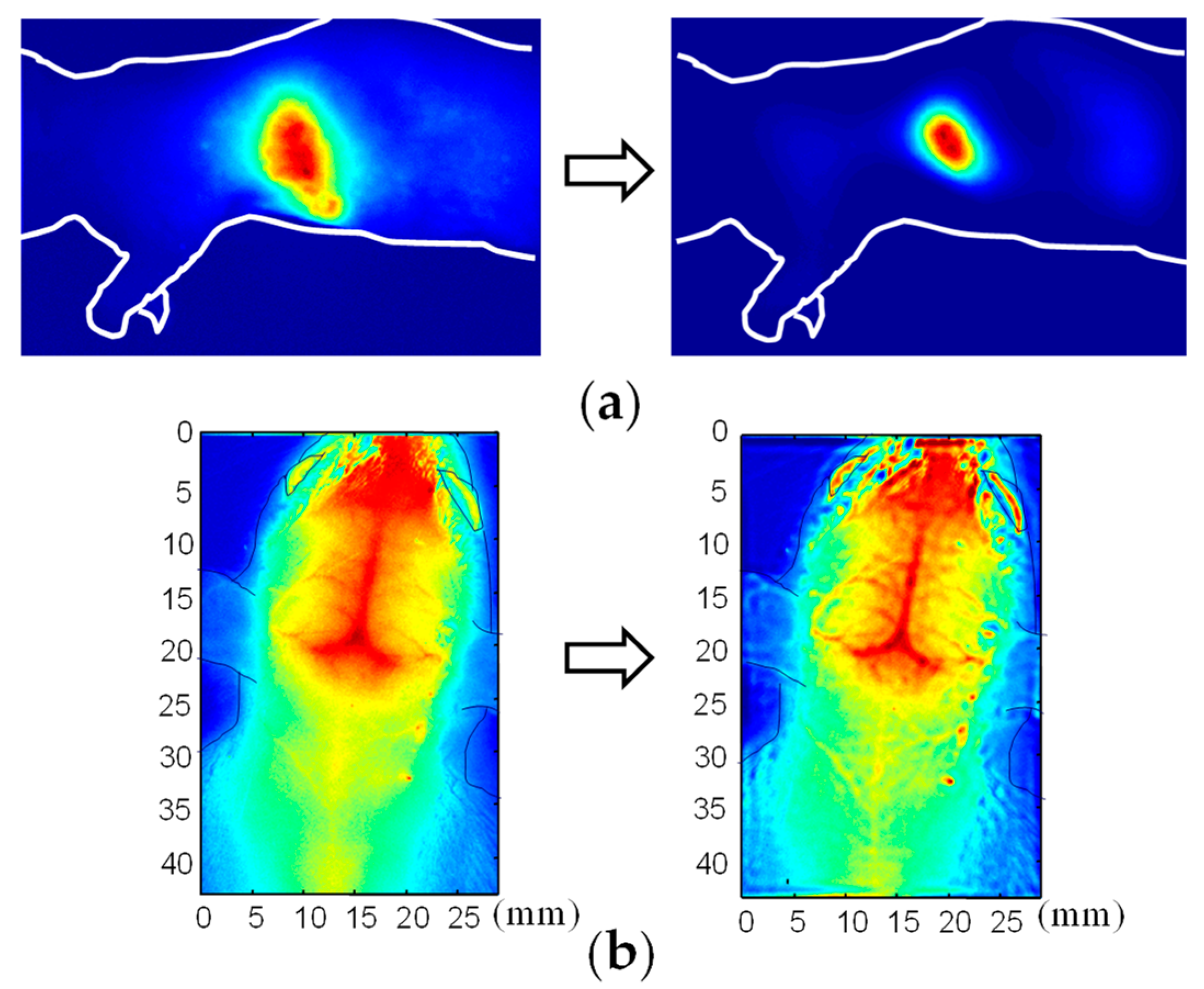 Biology 12 01362 g012 Biology 12 01362 g012
