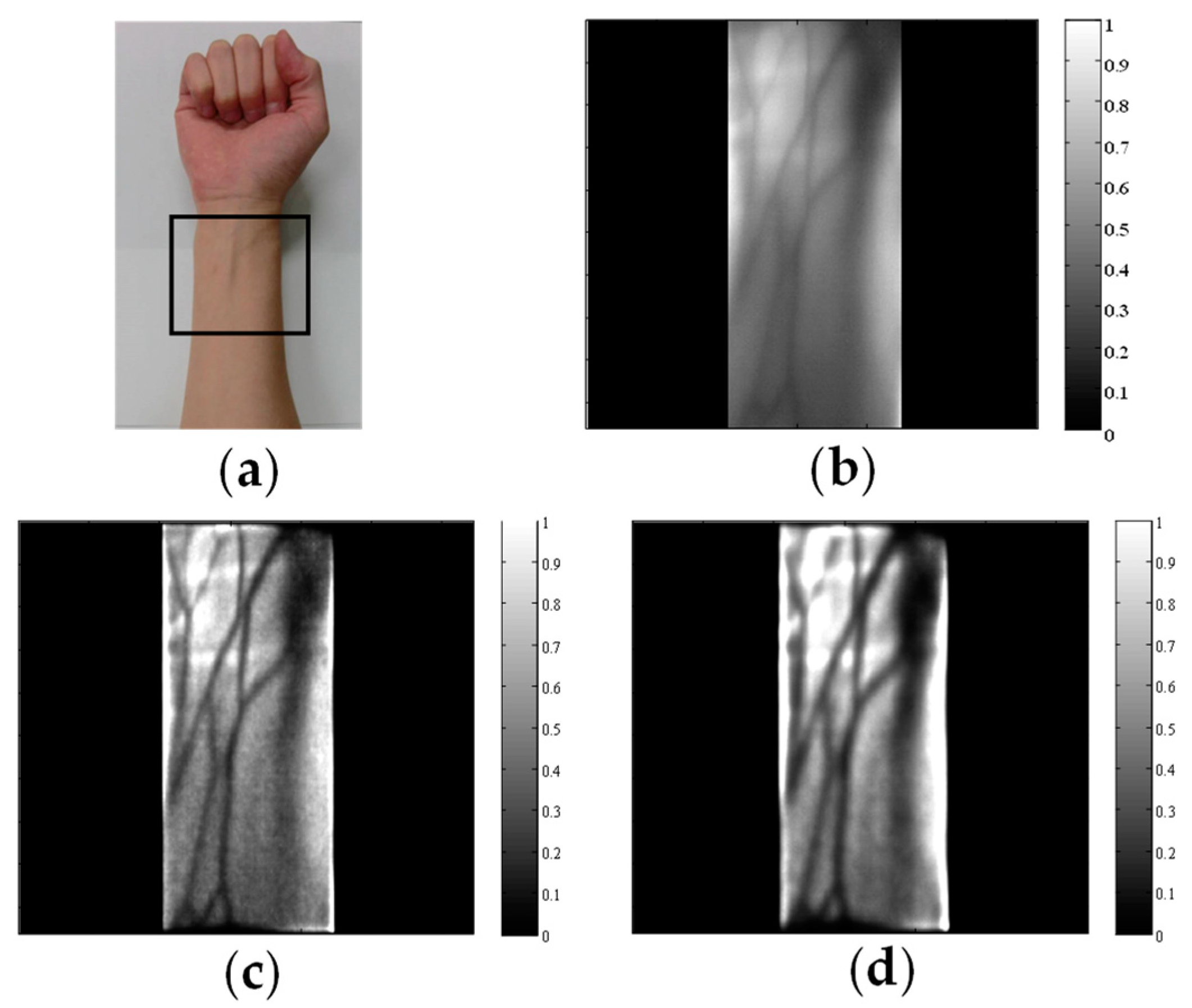 Biology 12 01362 g013 Biology 12 01362 g013
