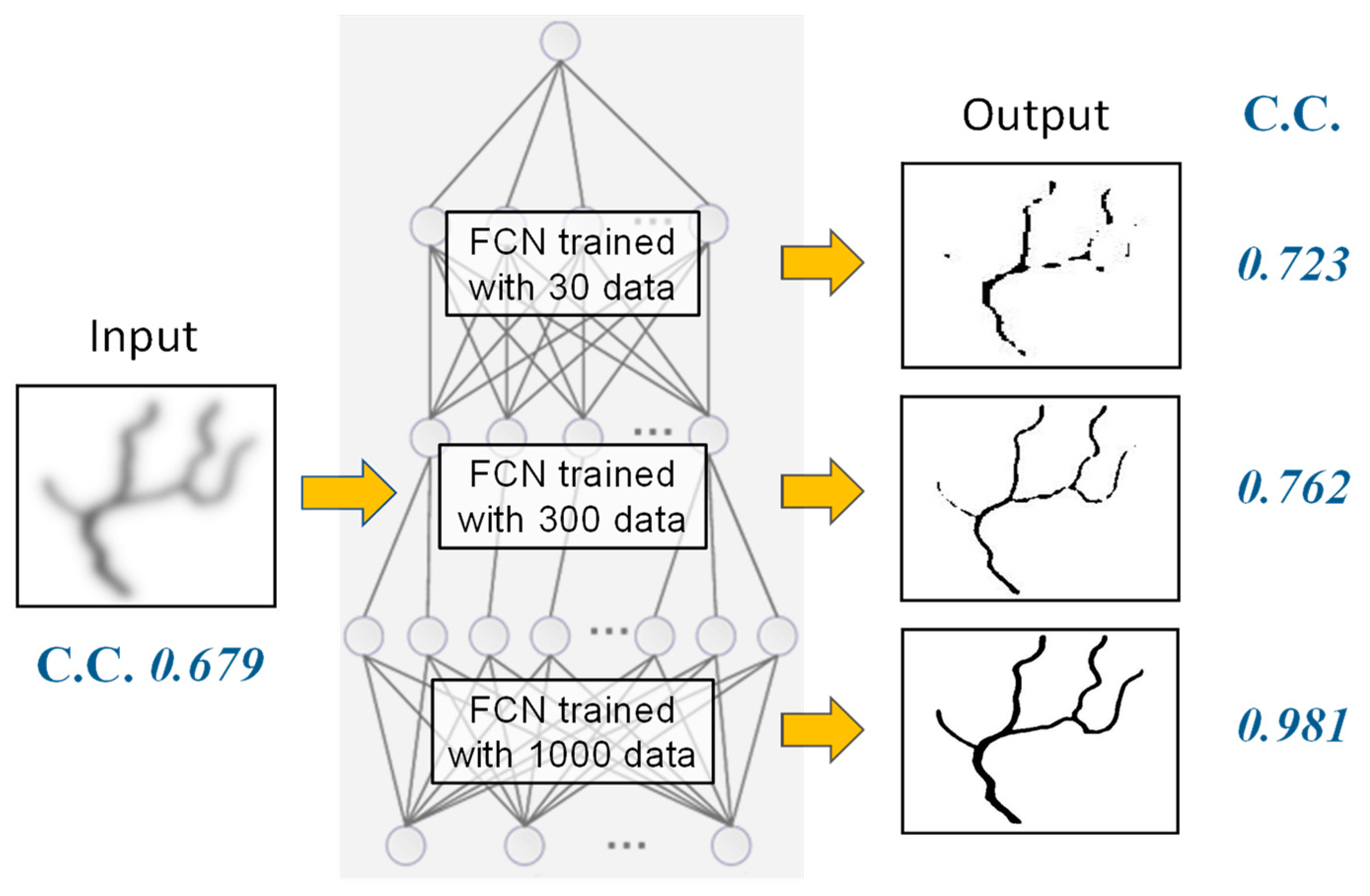 Biology 12 01362 g014 Biology 12 01362 g014