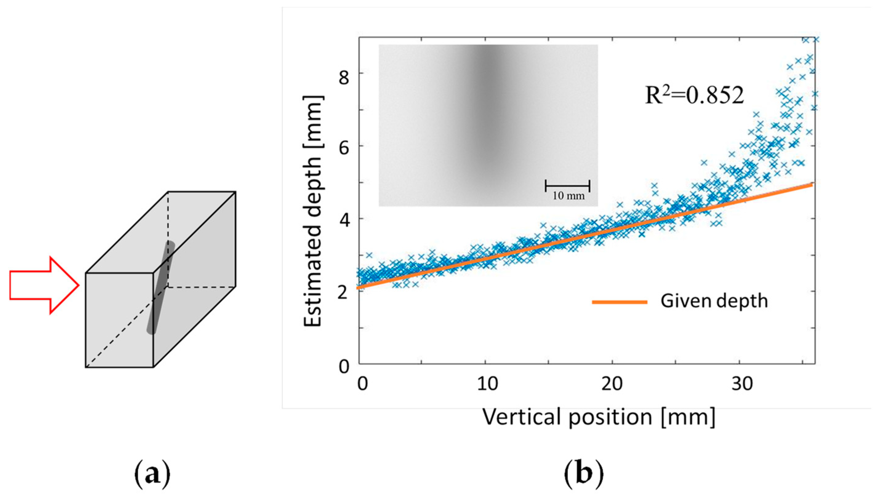 Biology 12 01362 g015 Biology 12 01362 g015