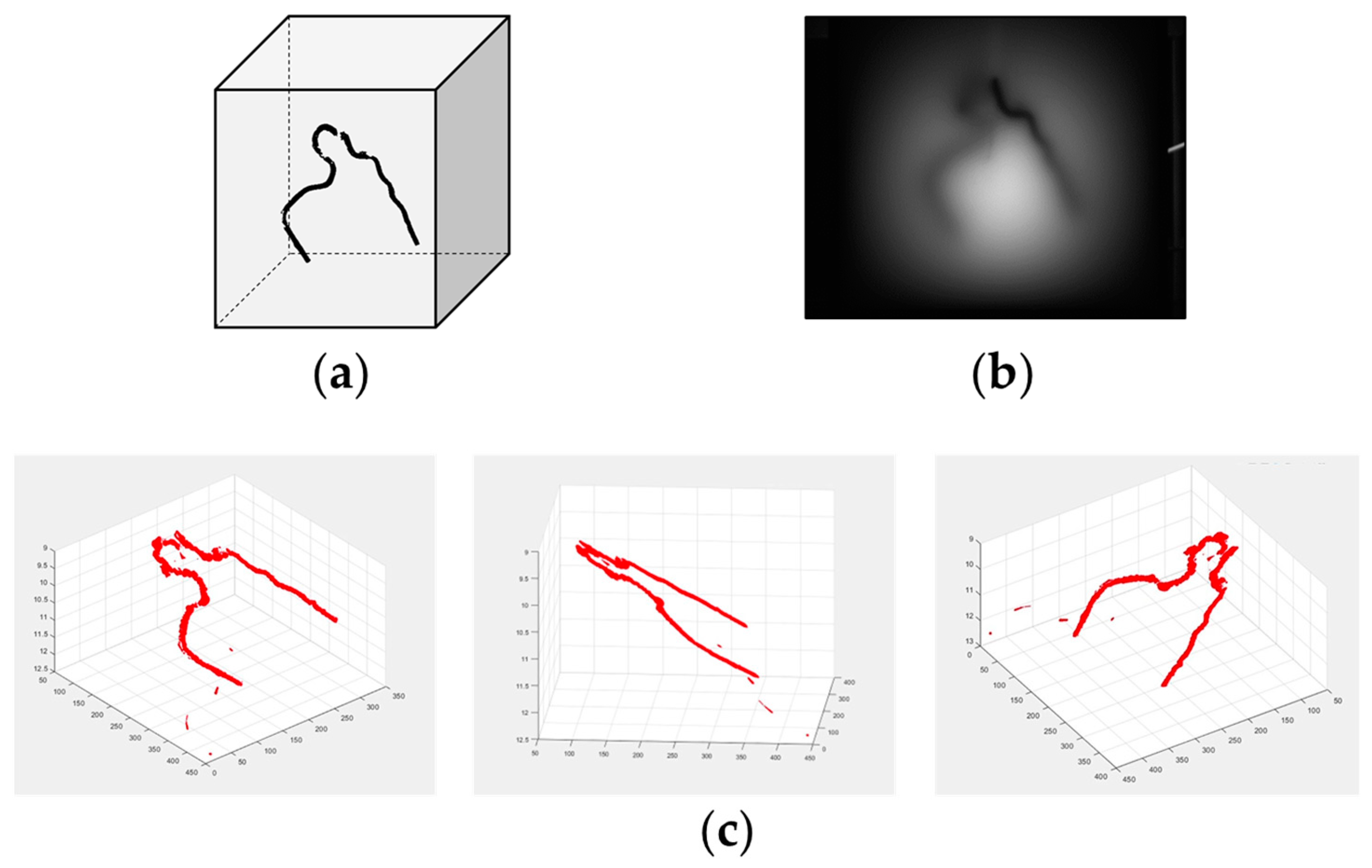 Biology 12 01362 g017 Biology 12 01362 g017