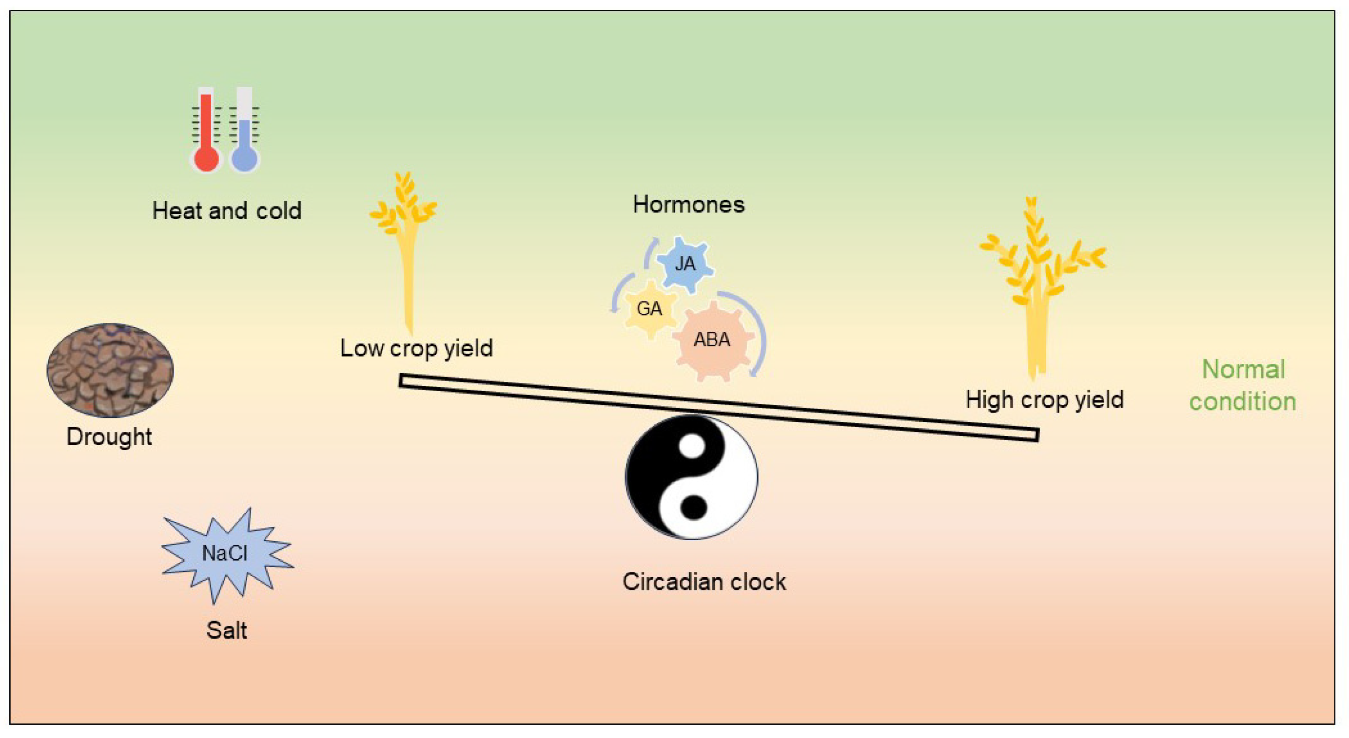 Biology 12 01364 g002