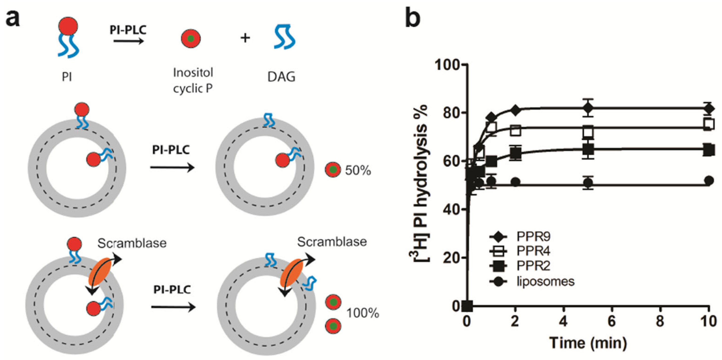 Biology 12 01367 g002