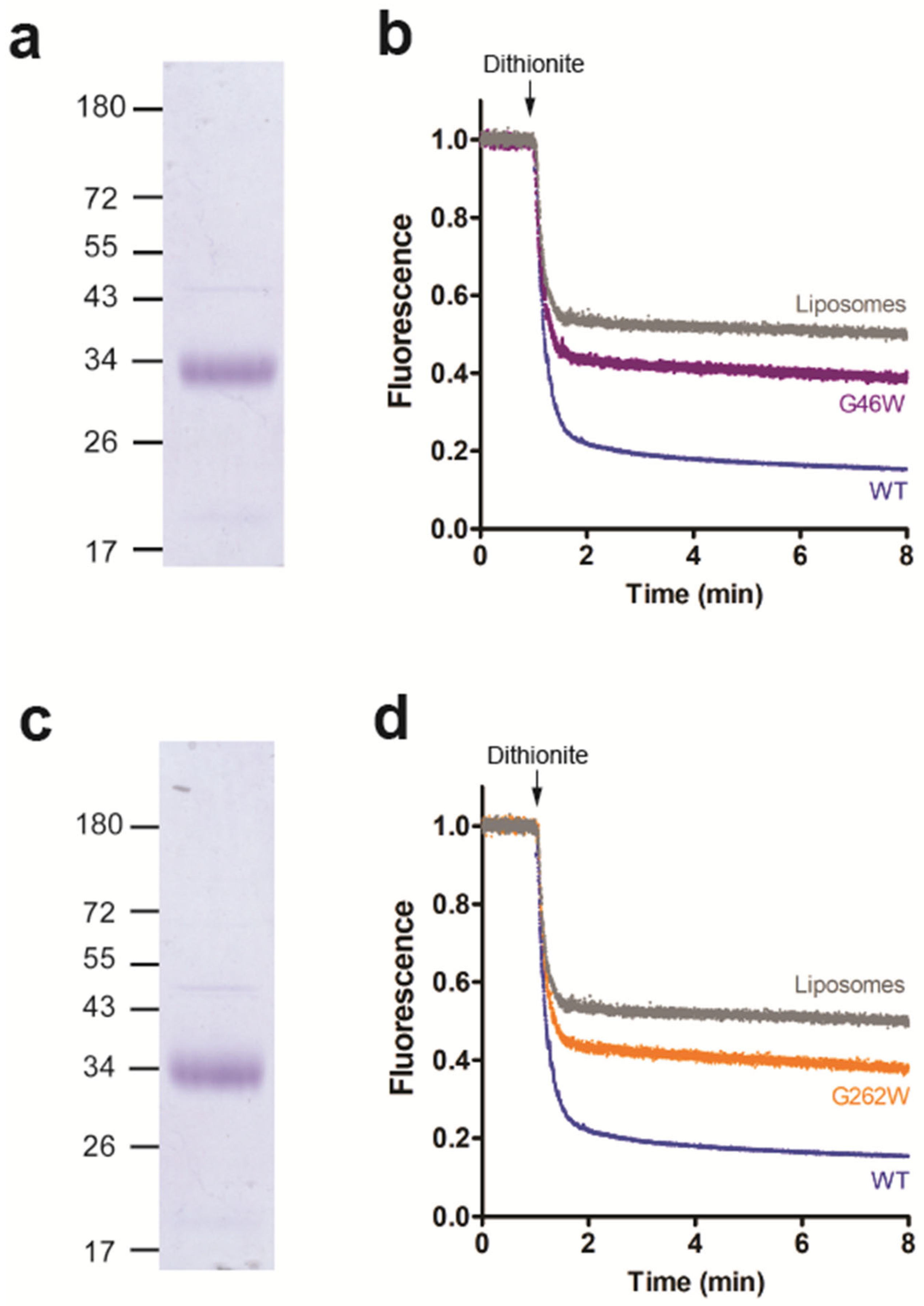 Biology 12 01367 g006