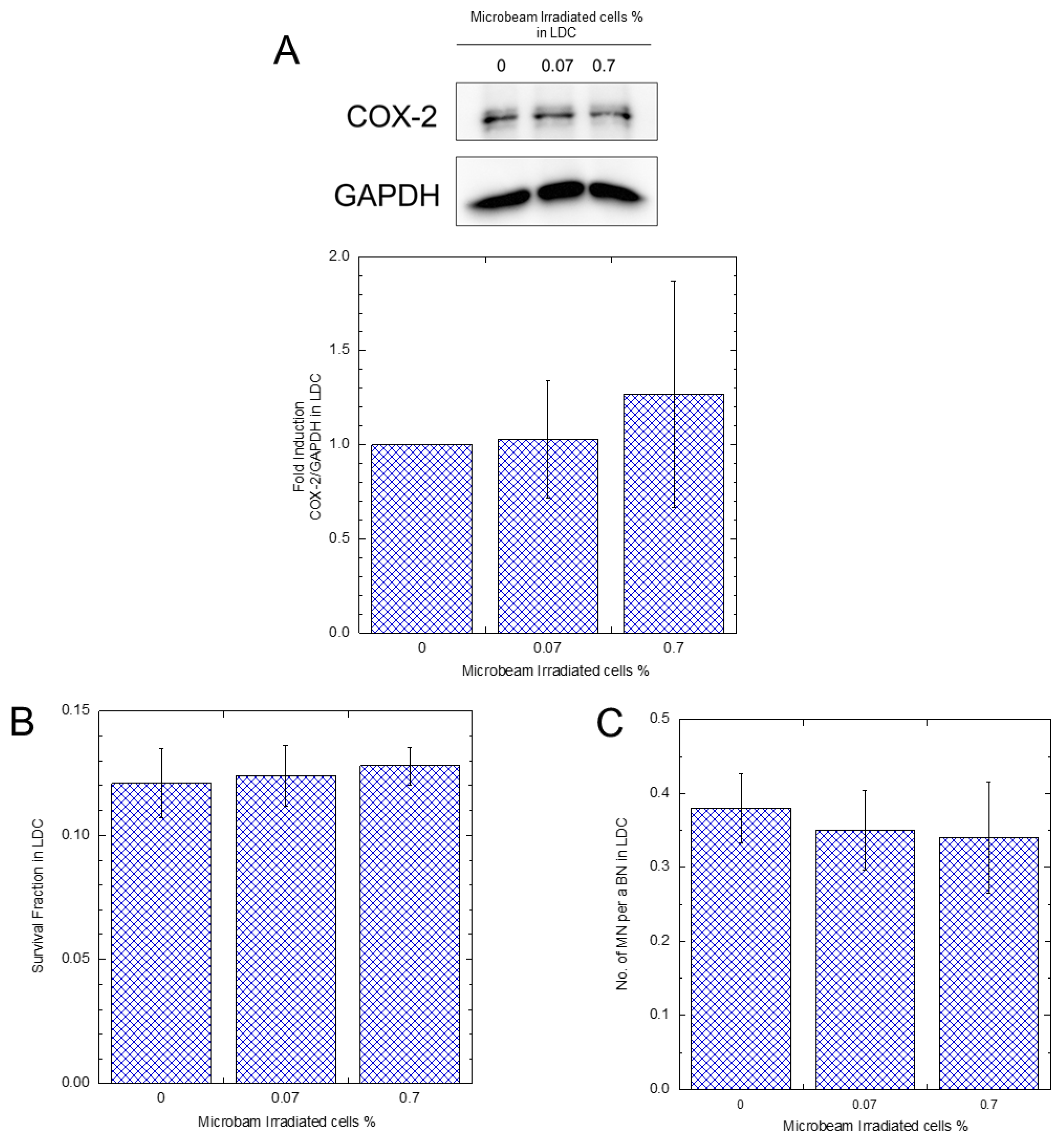 Biology 12 01368 g004 Biology 12 01368 g004