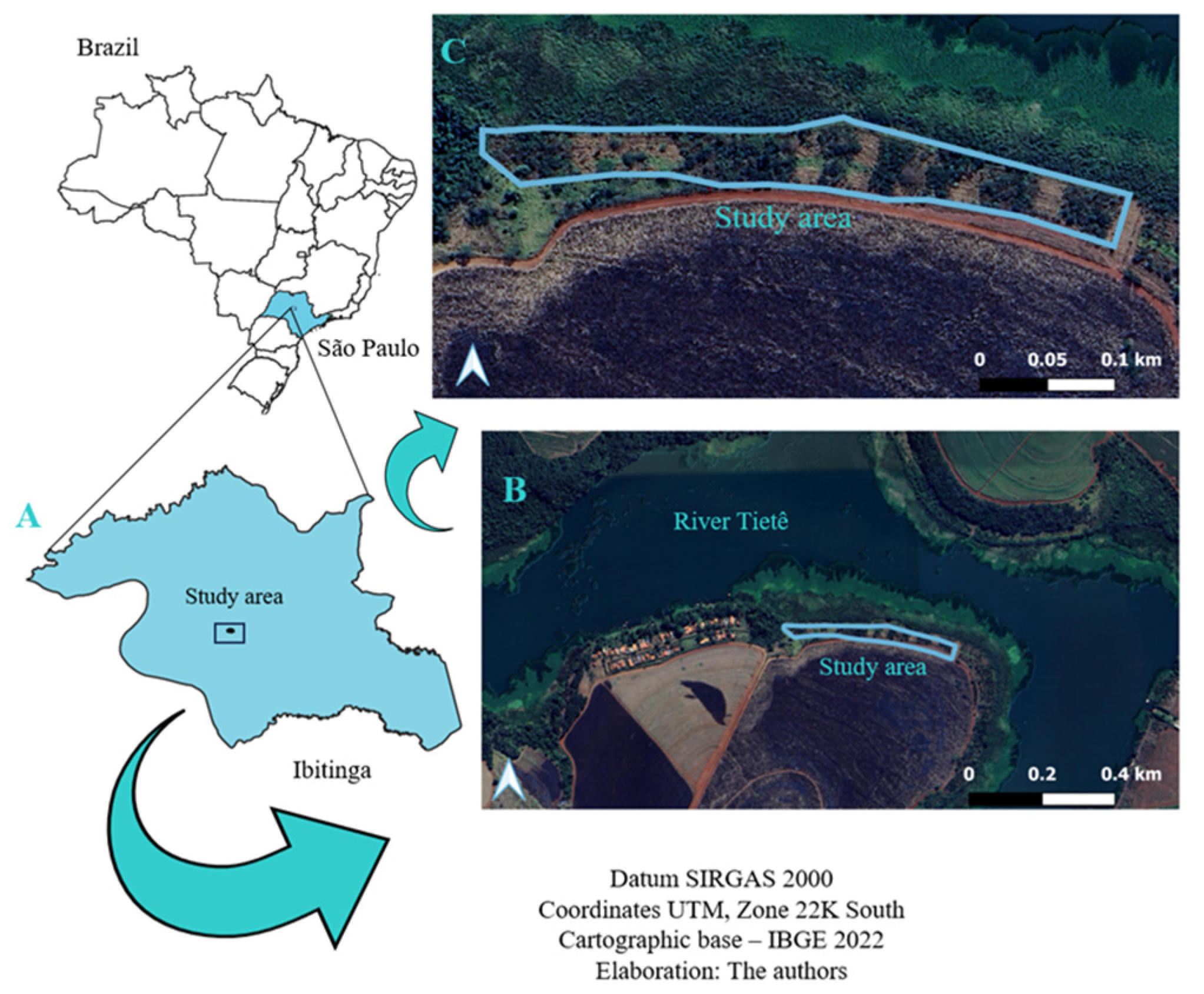 Biology 12 01369 g001 Biology 12 01369 g001