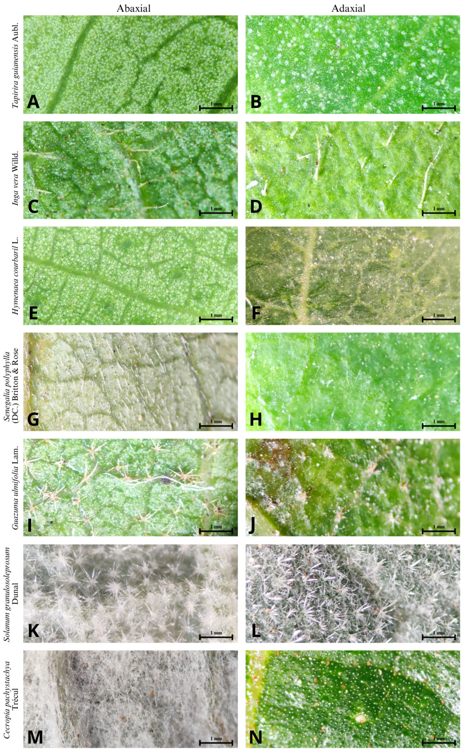 Biology 12 01369 g003 Biology 12 01369 g003