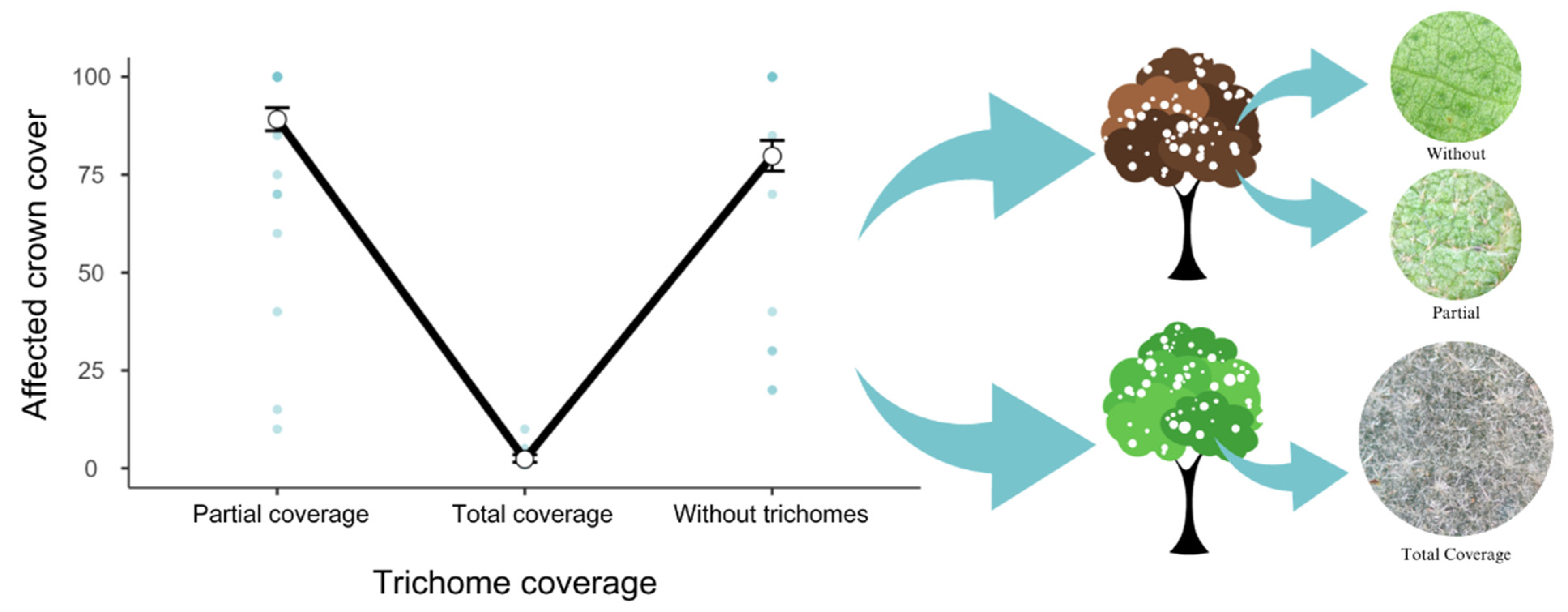 Biology 12 01369 g005 Biology 12 01369 g005