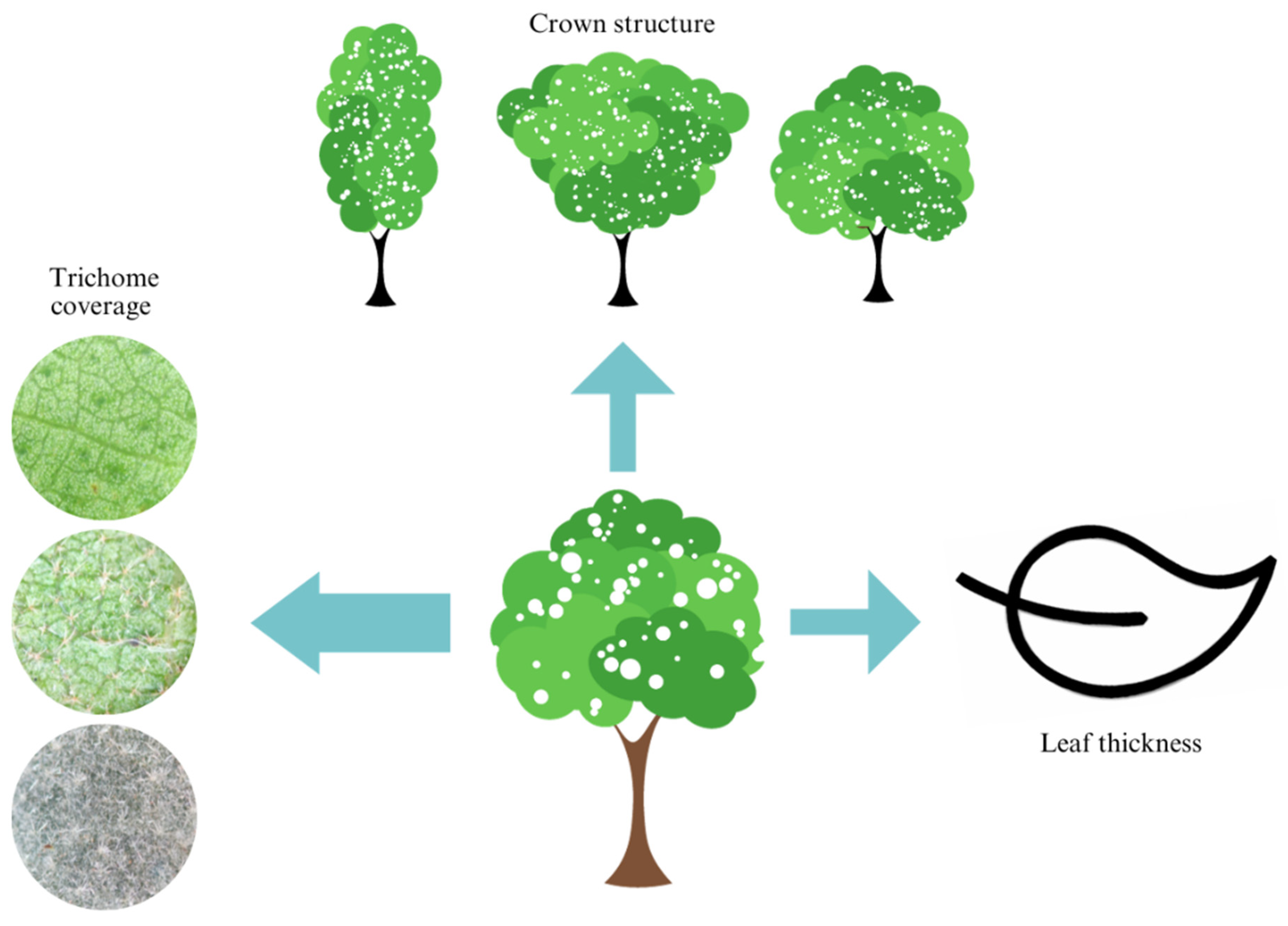 Biology 12 01369 g008 Biology 12 01369 g008