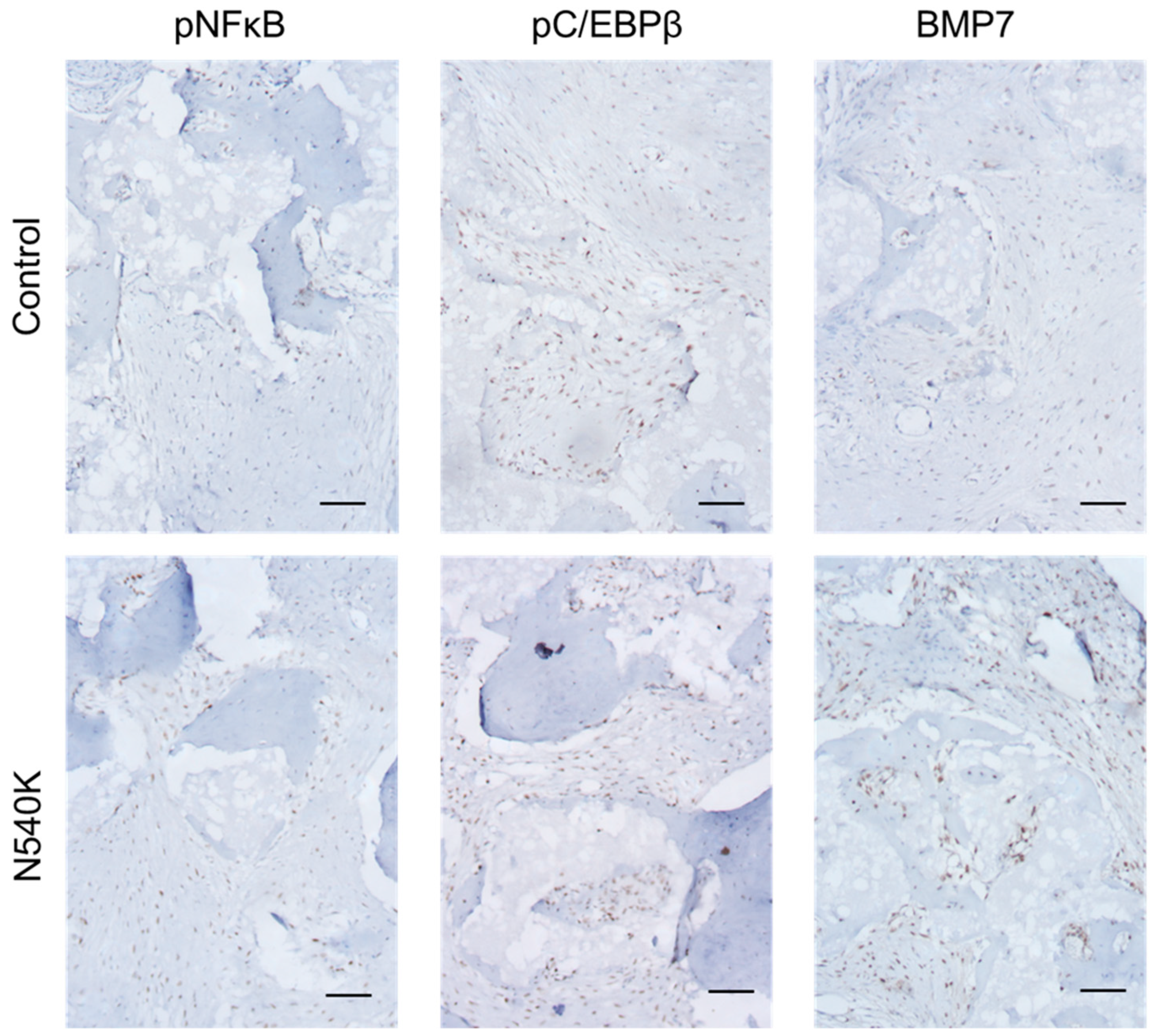 Biology 12 01381 g006