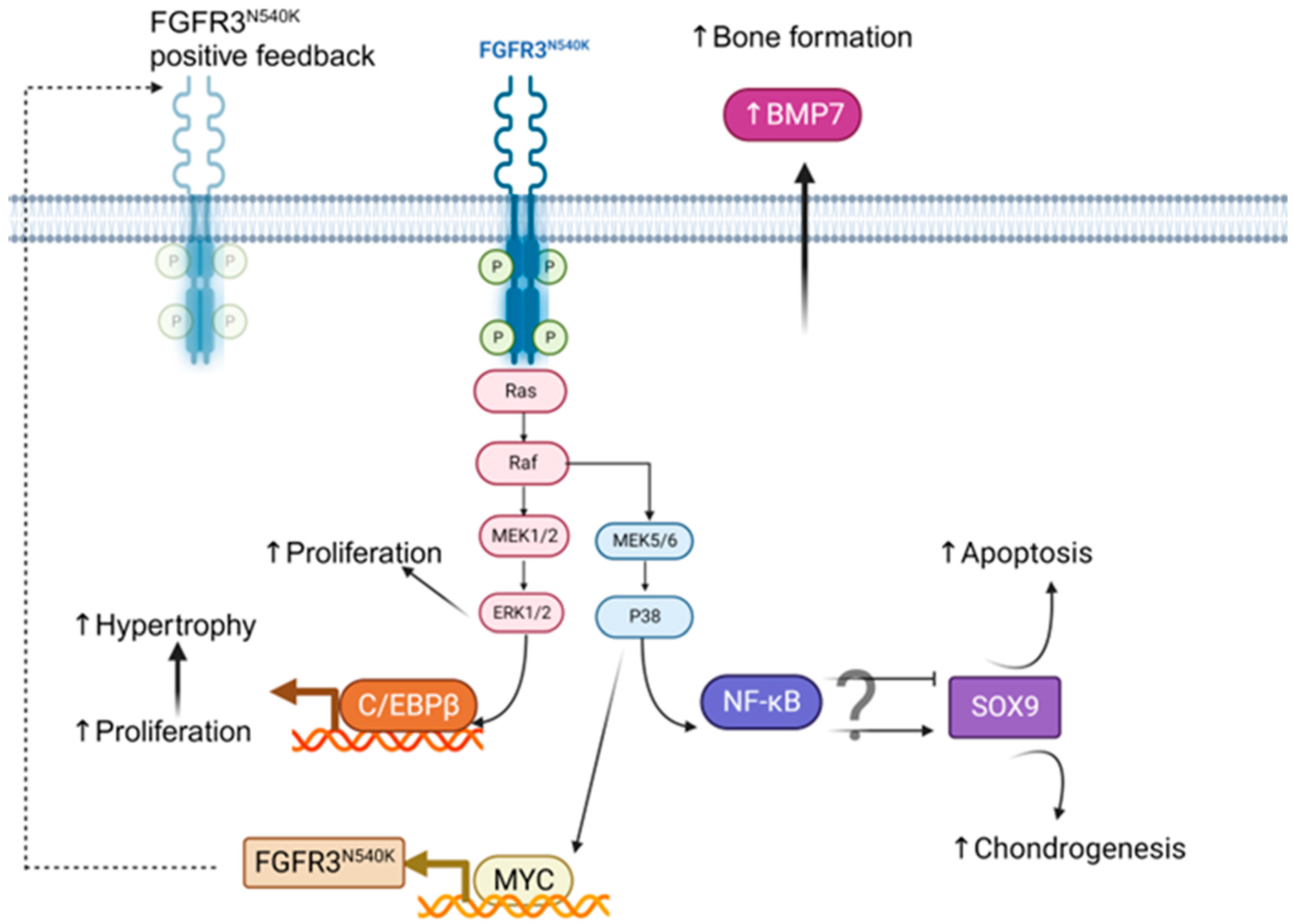 Biology 12 01381 g007