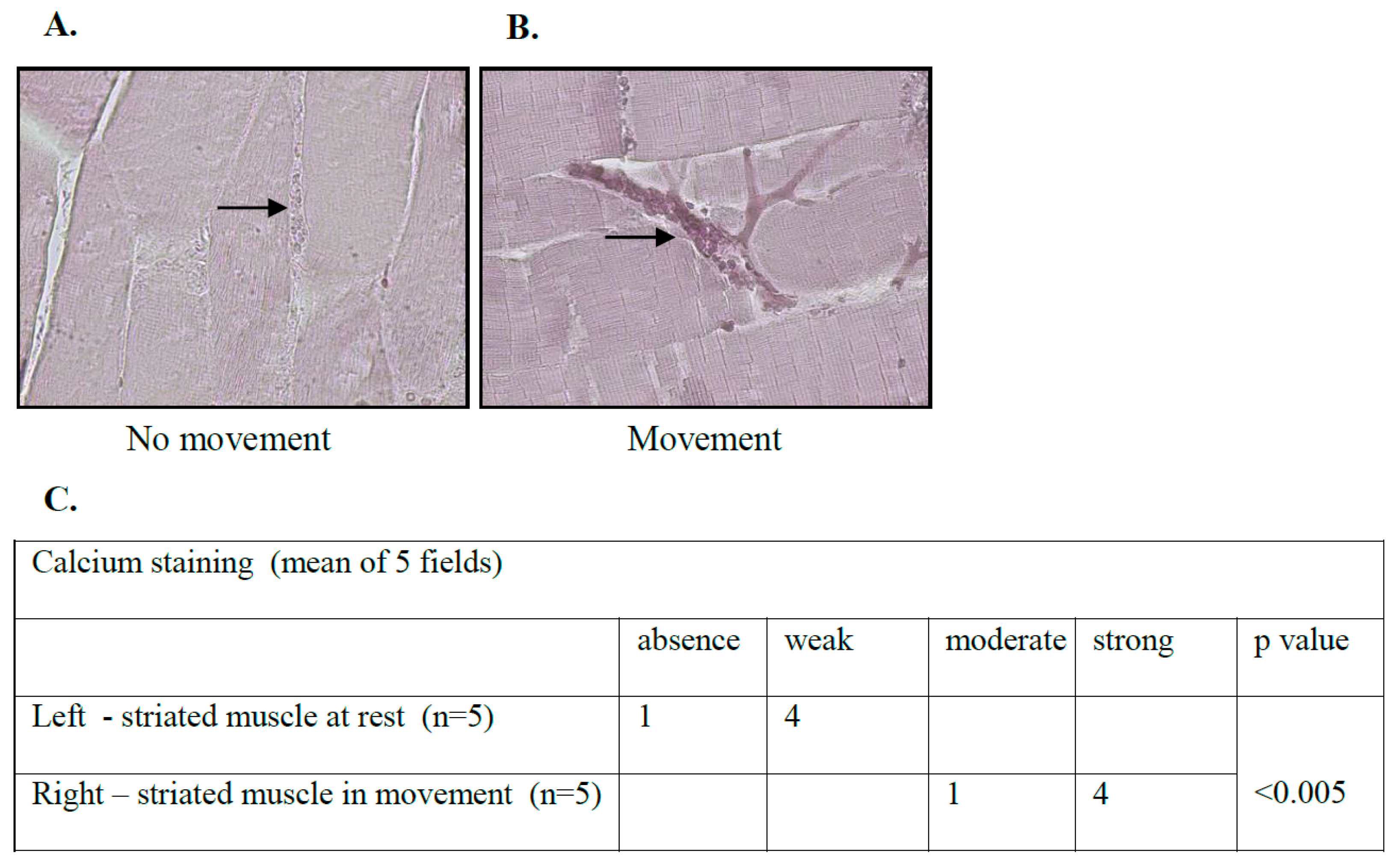 Biology 12 01388 g002 Biology 12 01388 g002