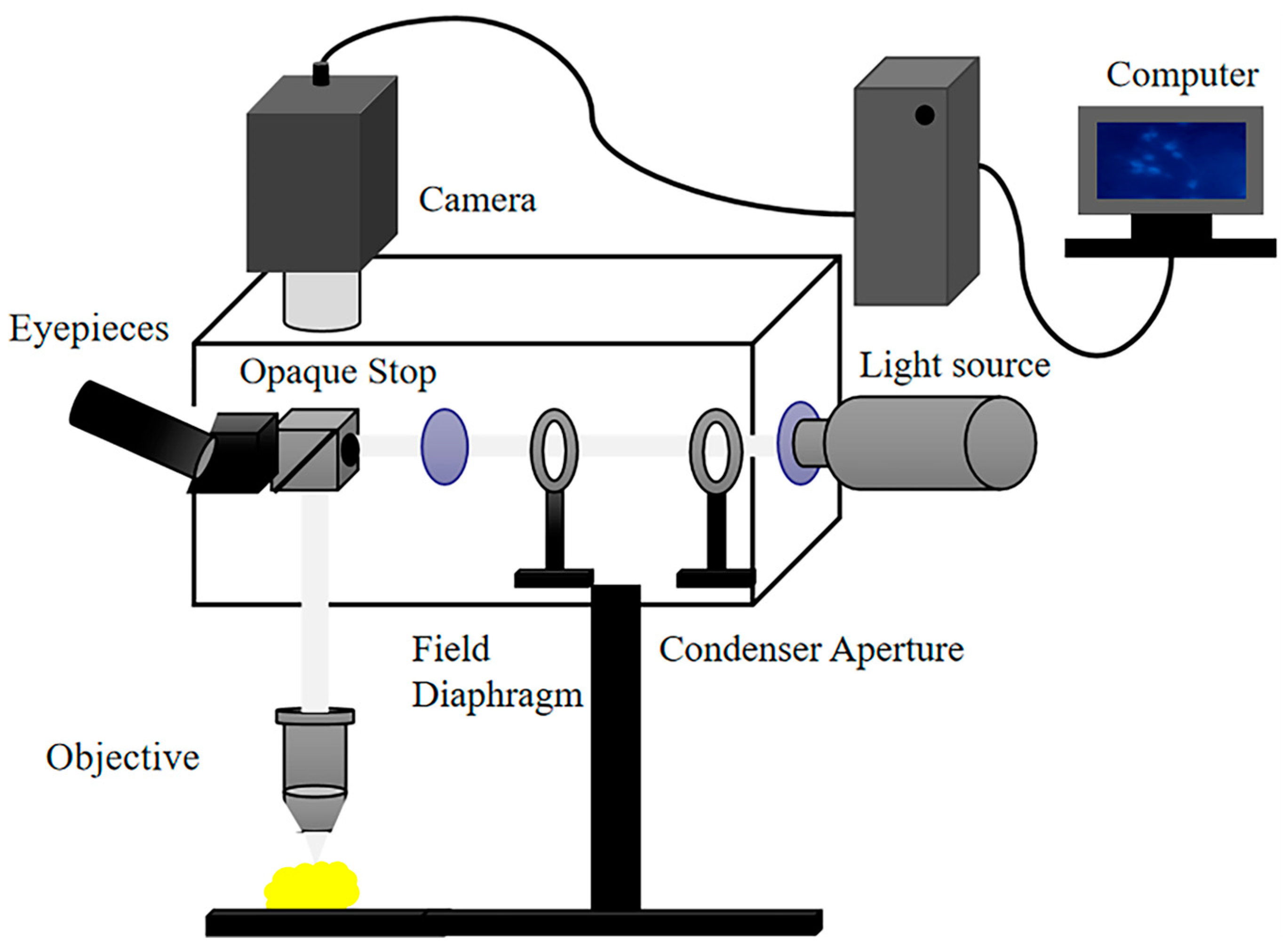 Biology 12 01391 g002
