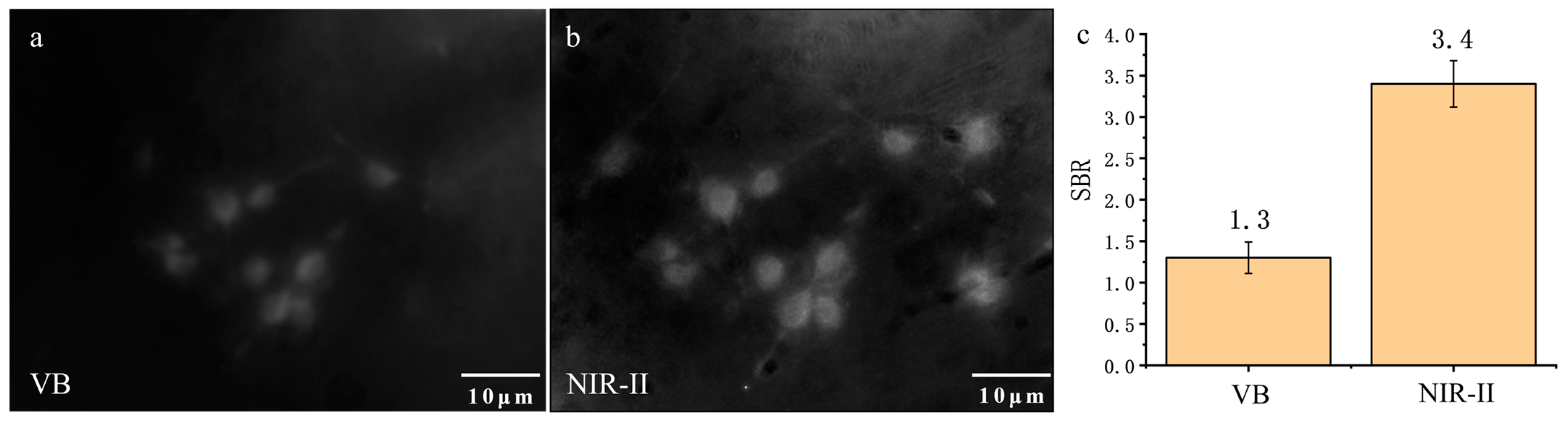 Biology 12 01391 g003