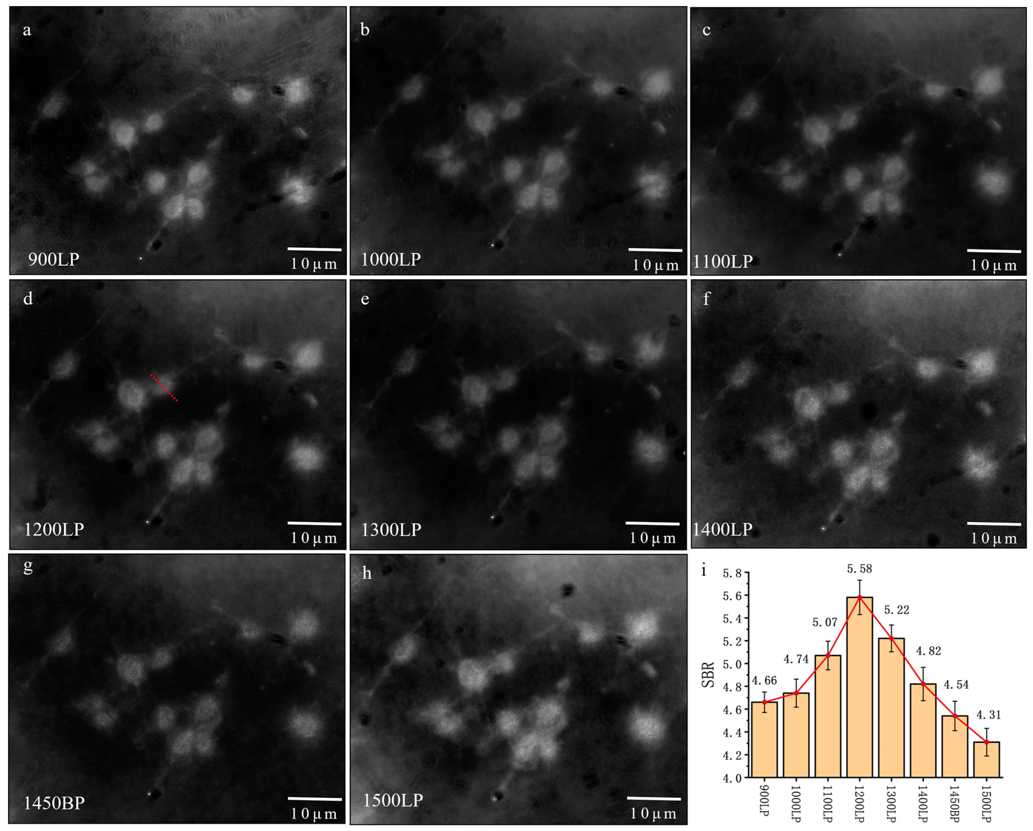 Biology 12 01391 g004