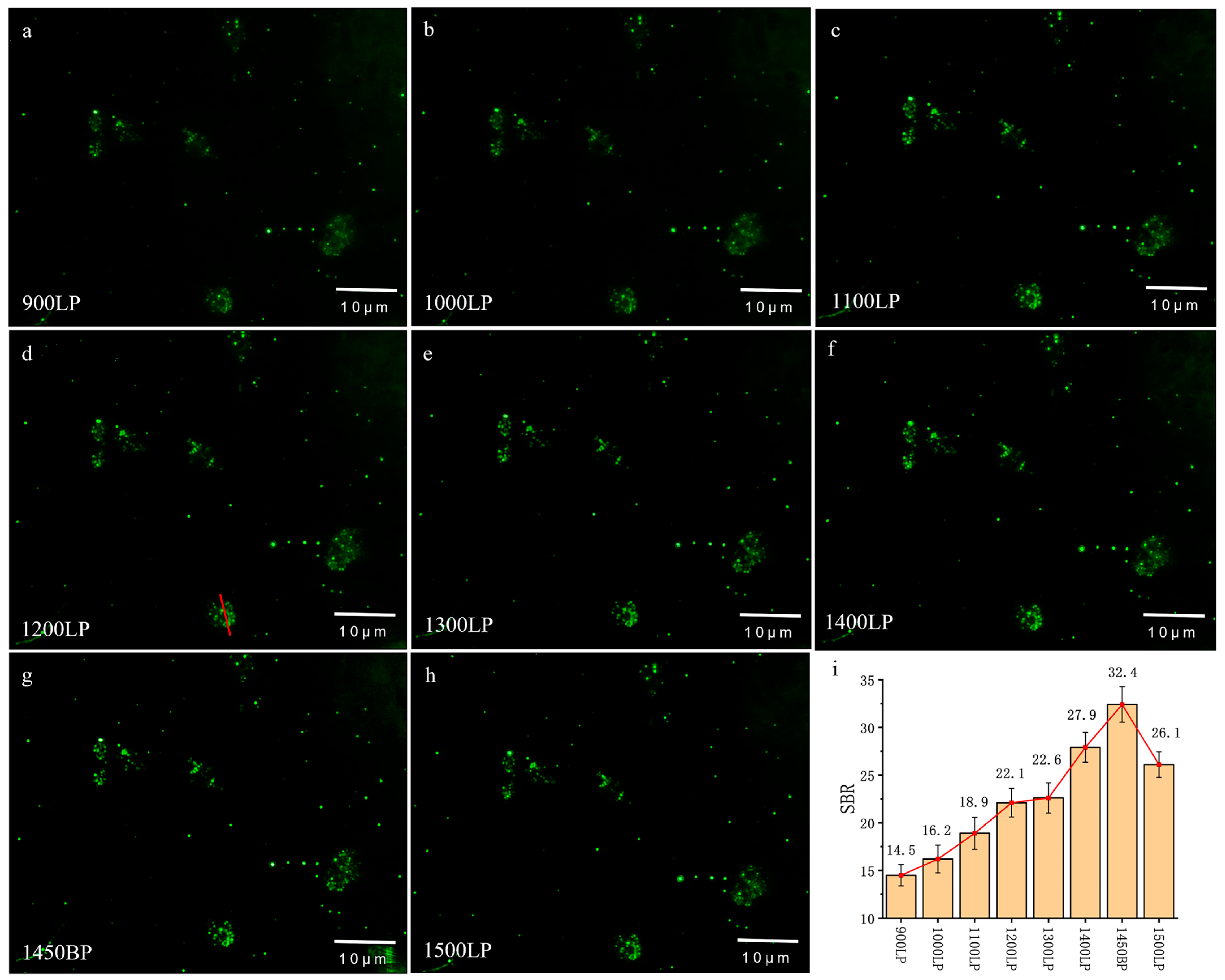 Biology 12 01391 g006