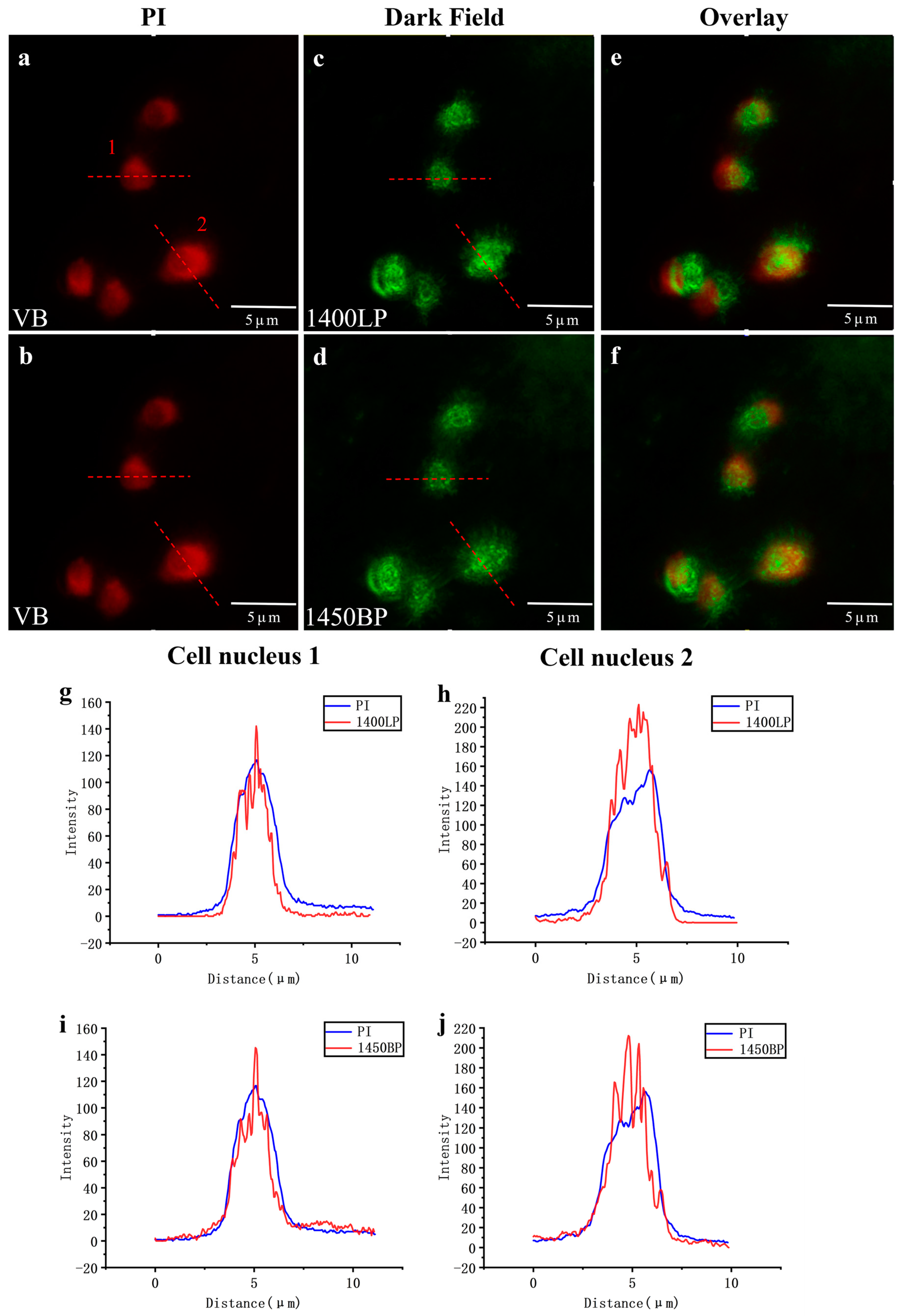 Biology 12 01391 g008