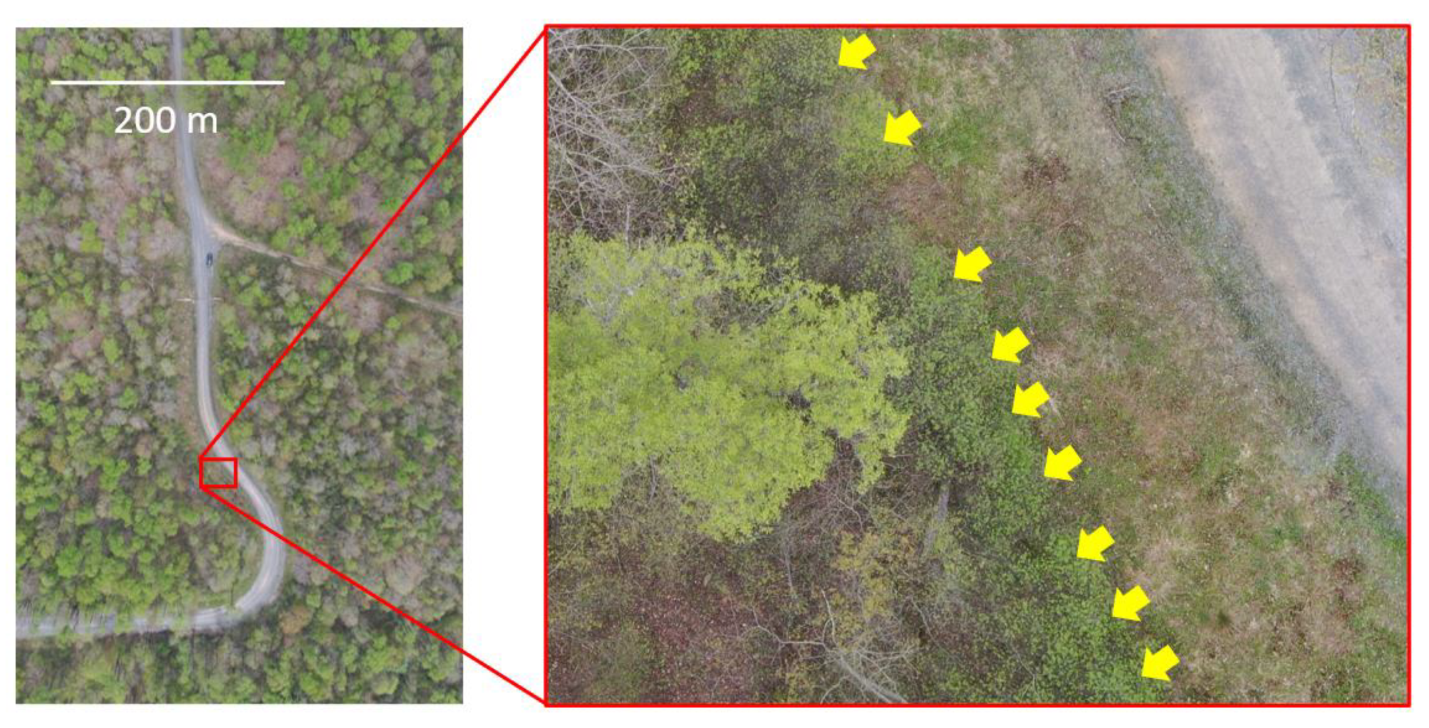 Biology 12 01393 g005