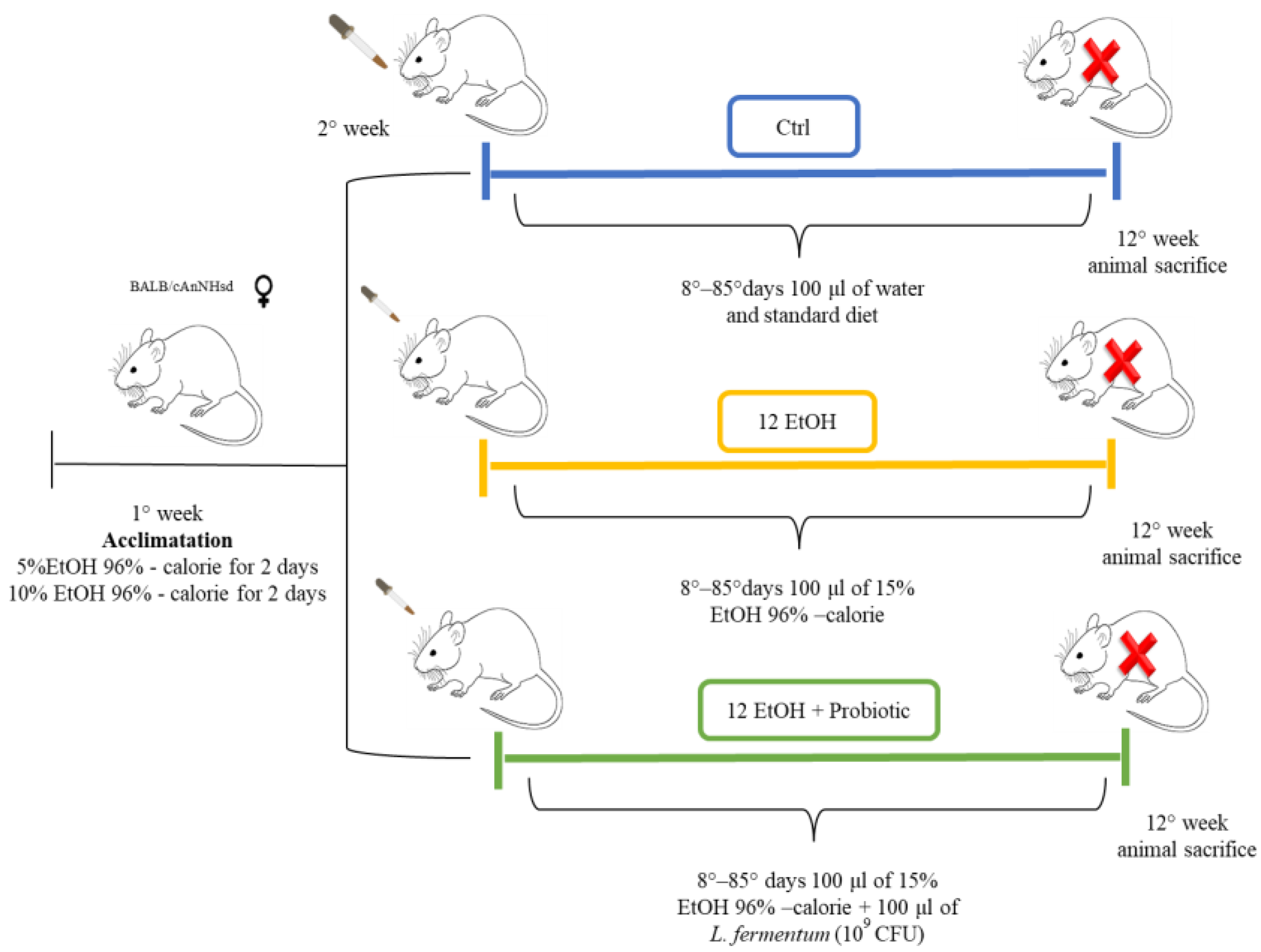 Biology 12 01394 g001
