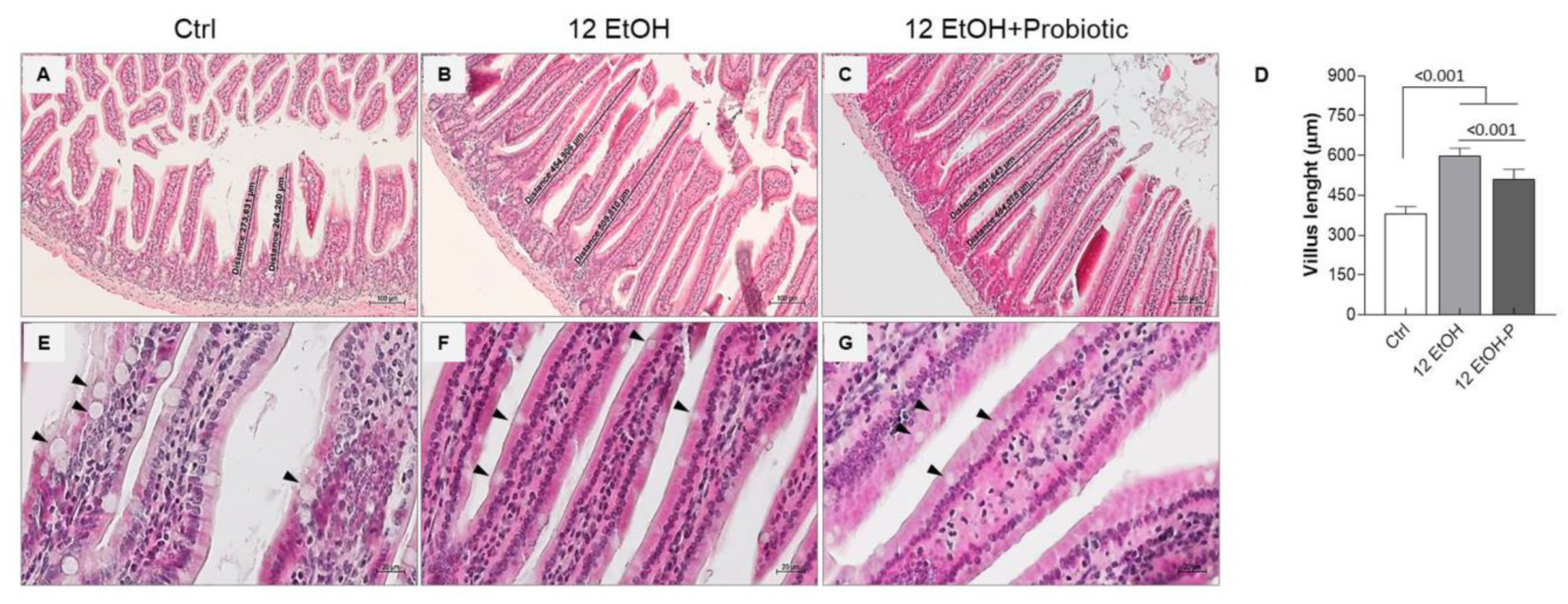 Biology 12 01394 g002
