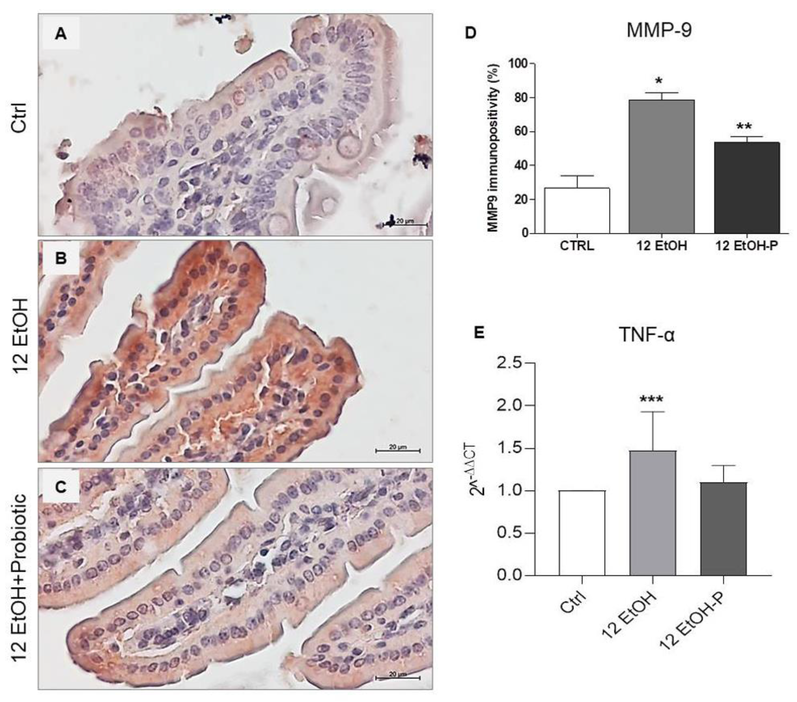 Biology 12 01394 g005