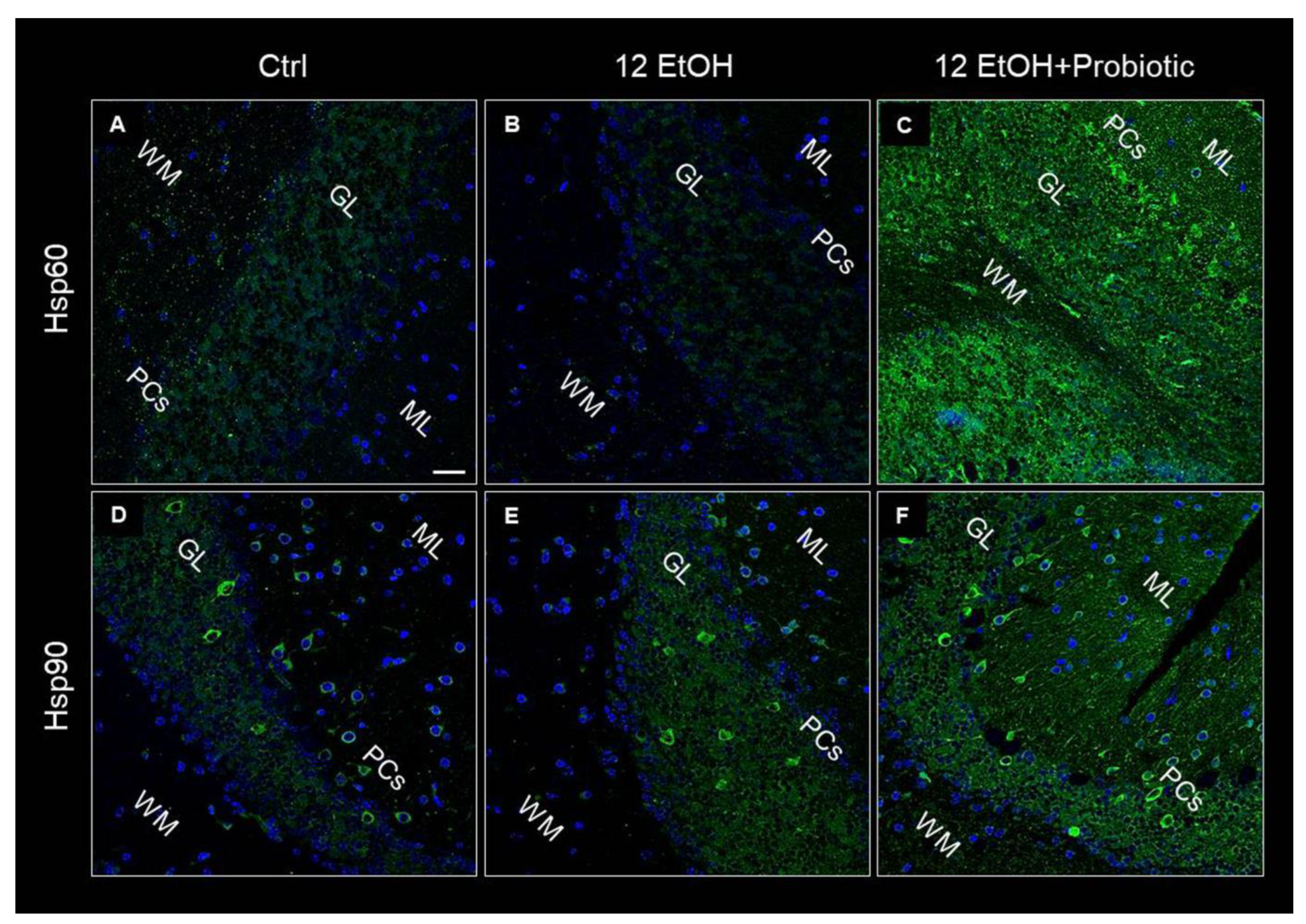 Biology 12 01394 g010