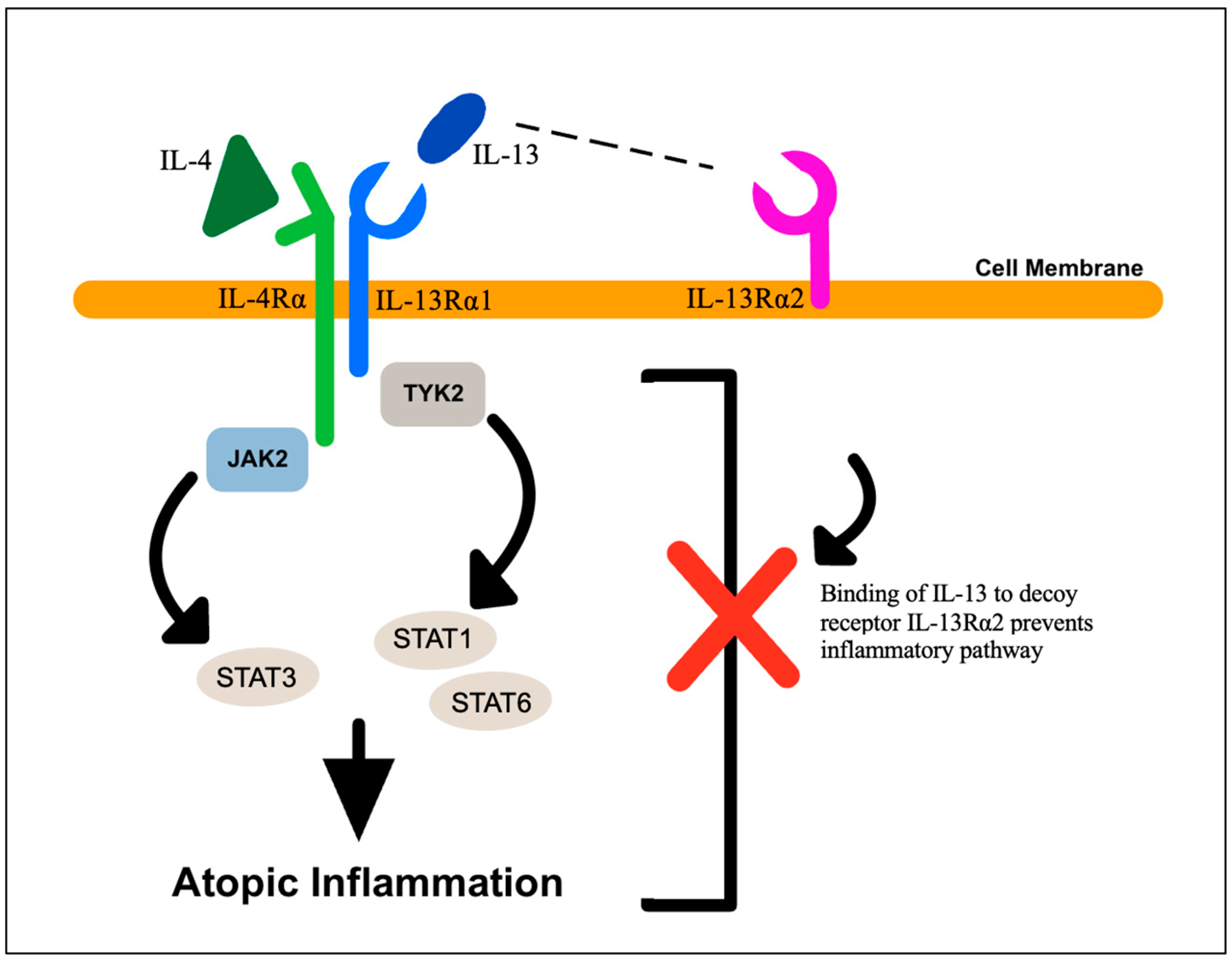 Biology 12 01396 g004