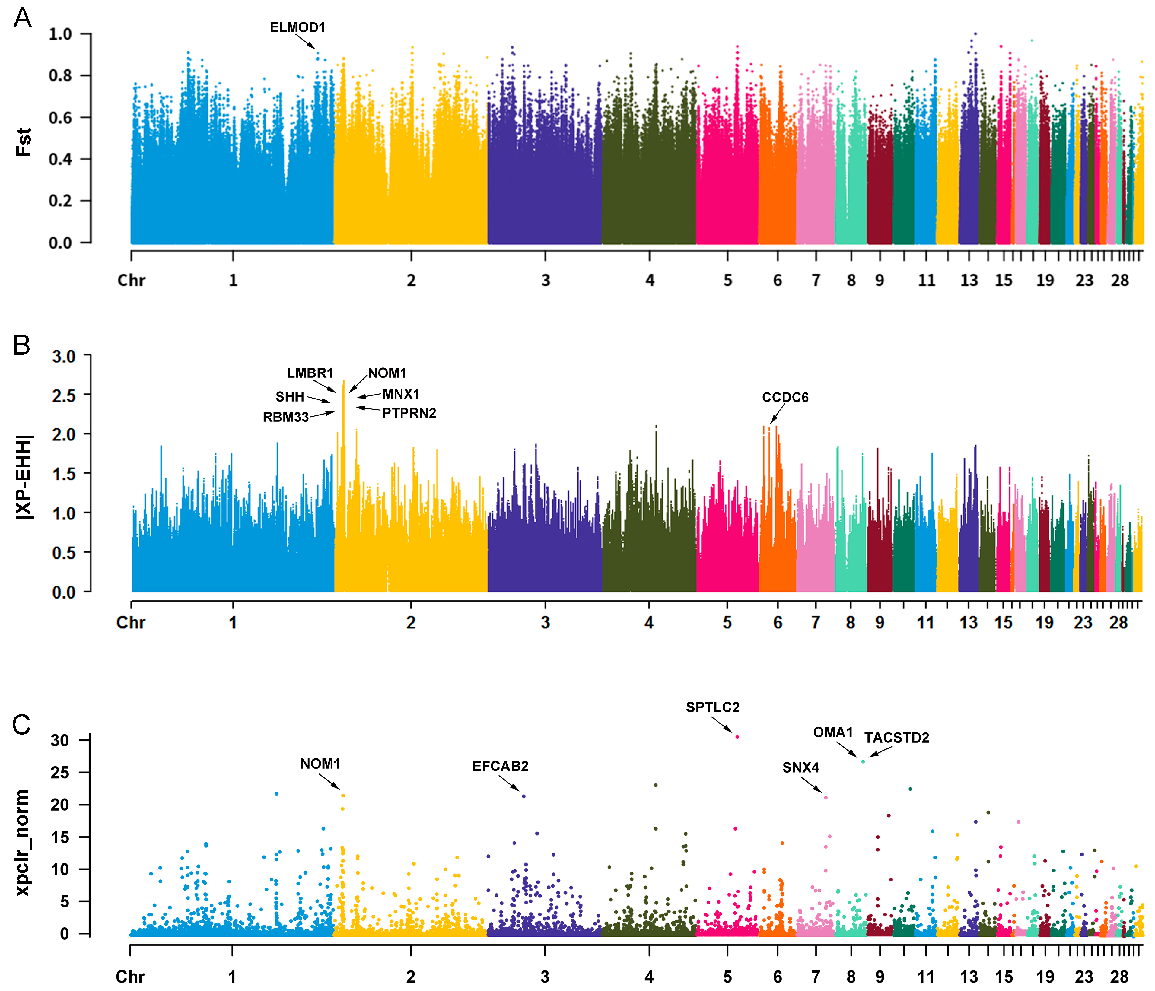 Biology 12 01397 g003 Biology 12 01397 g003