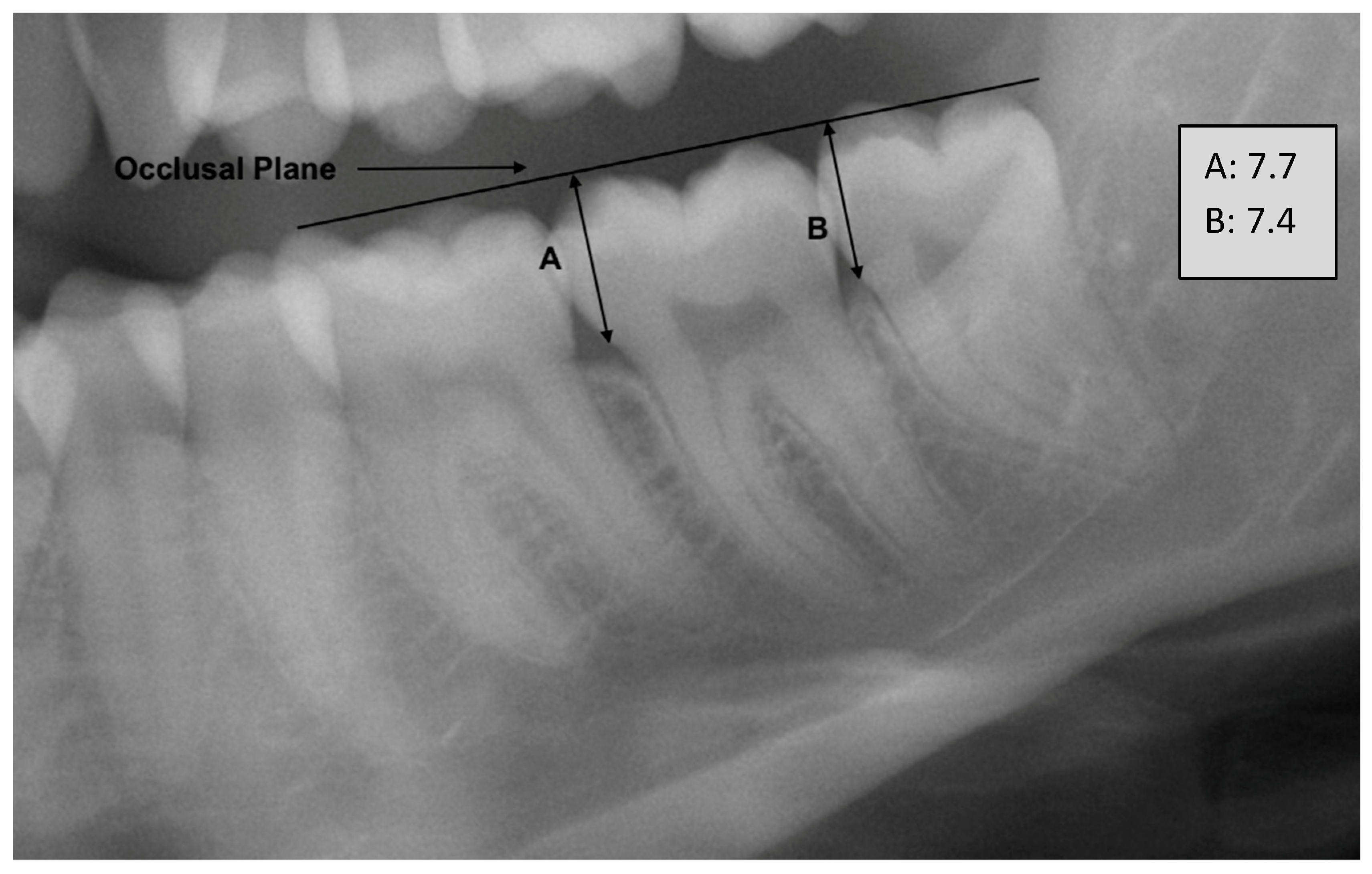 Biology 12 01403 g002