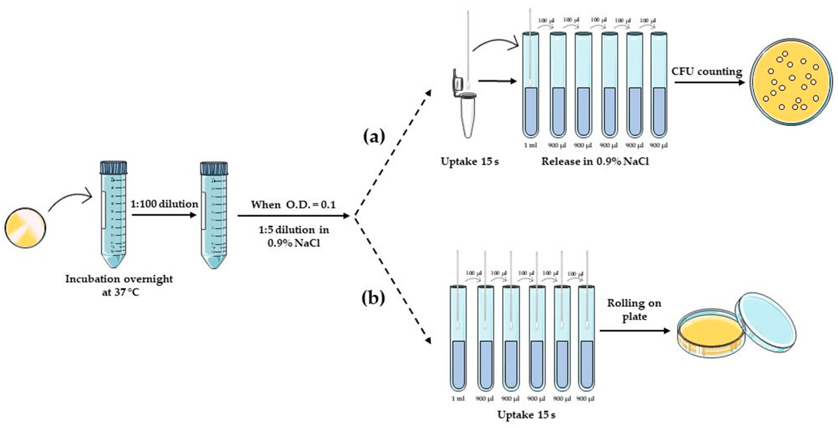 Biology 12 01404 g001