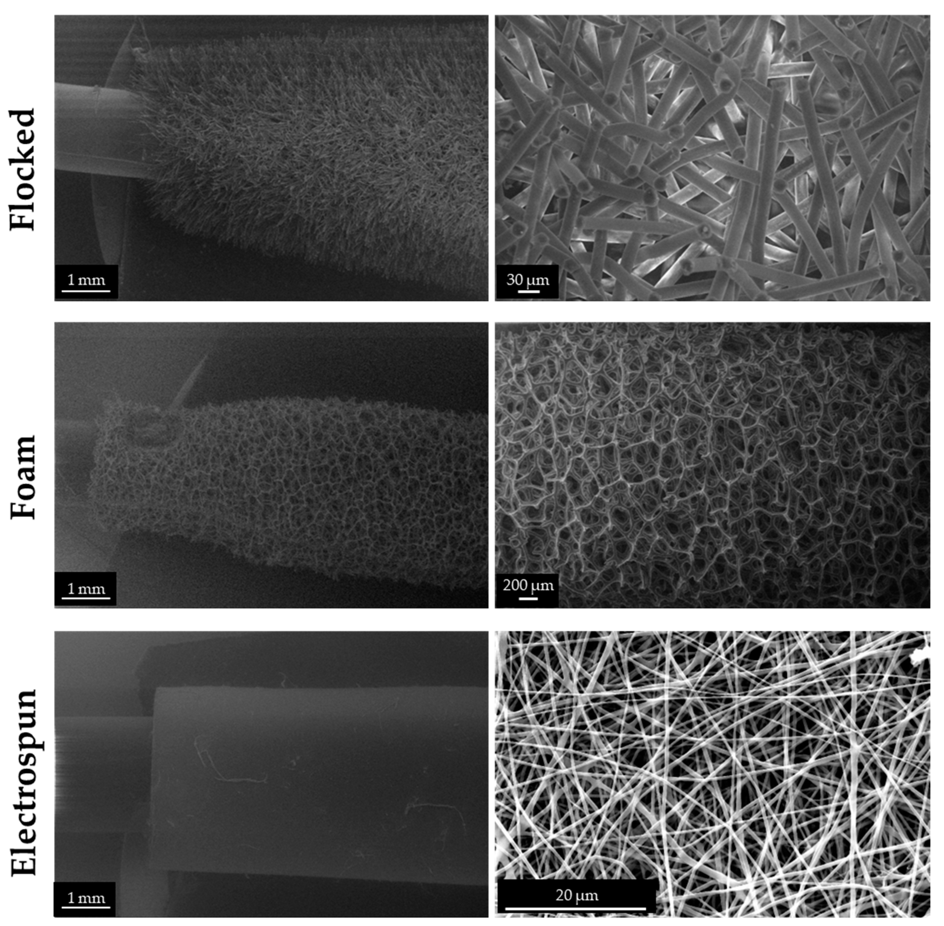 Biology 12 01404 g004