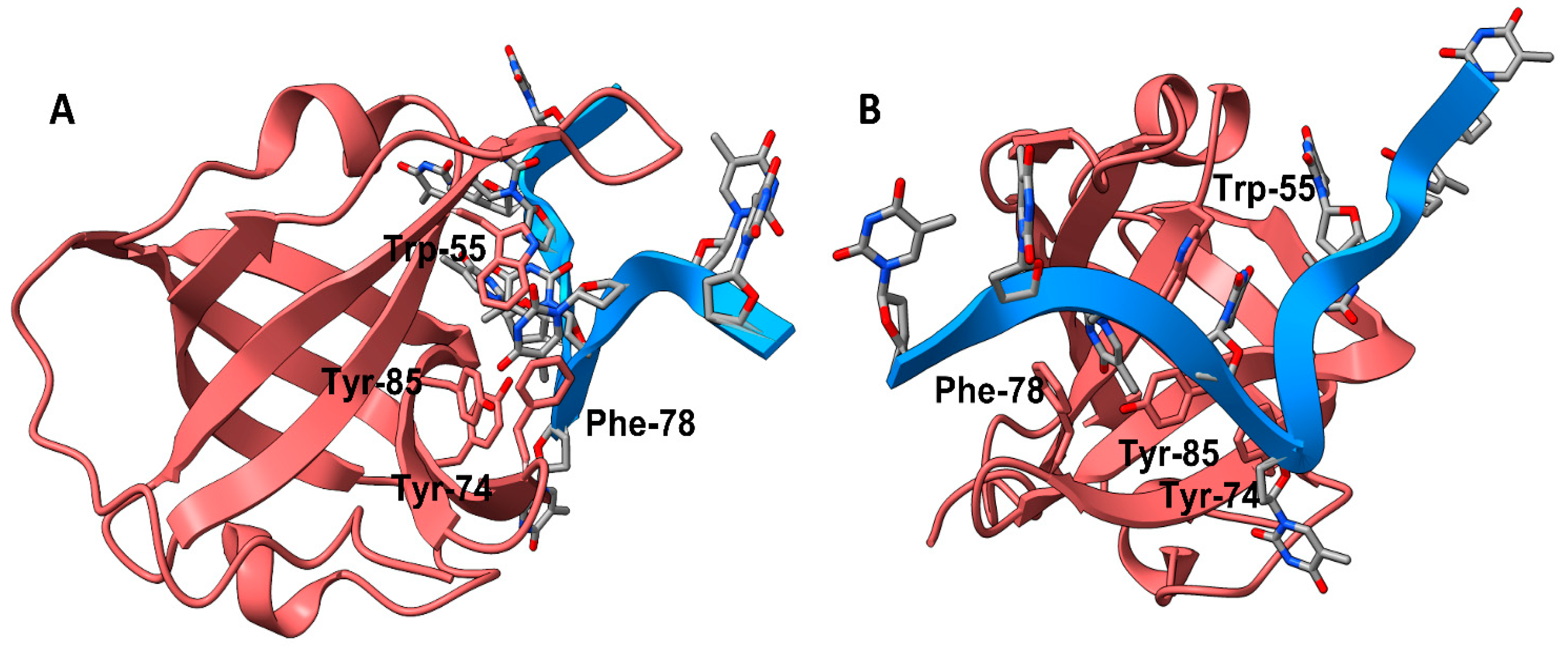 Biology 12 01405 g001