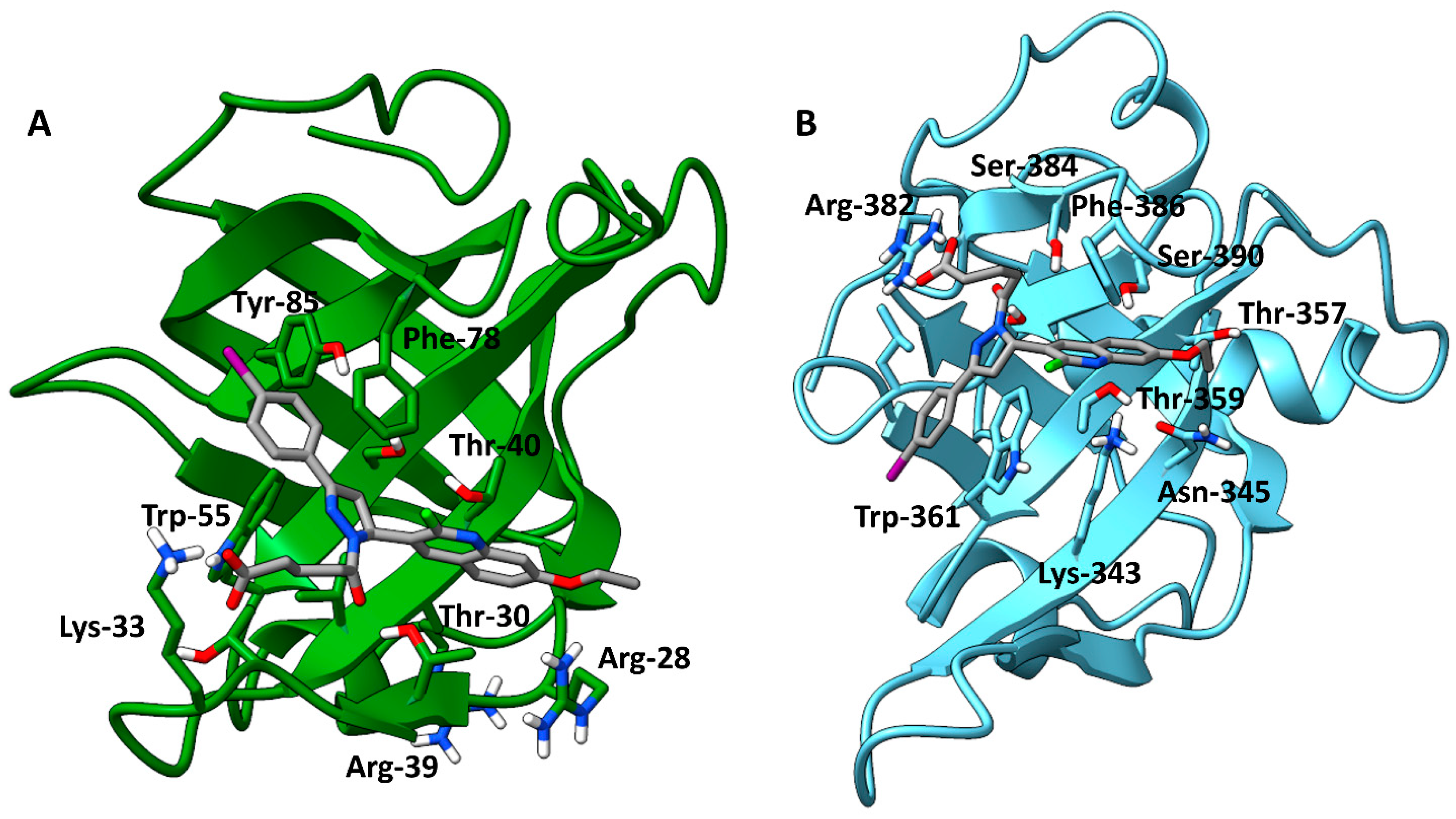 Biology 12 01405 g002