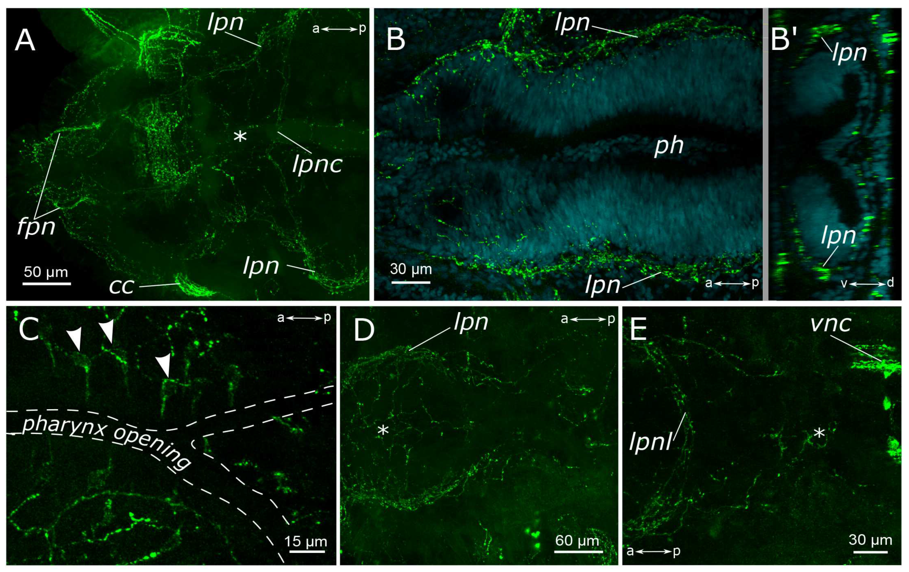 Biology 12 01412 g003