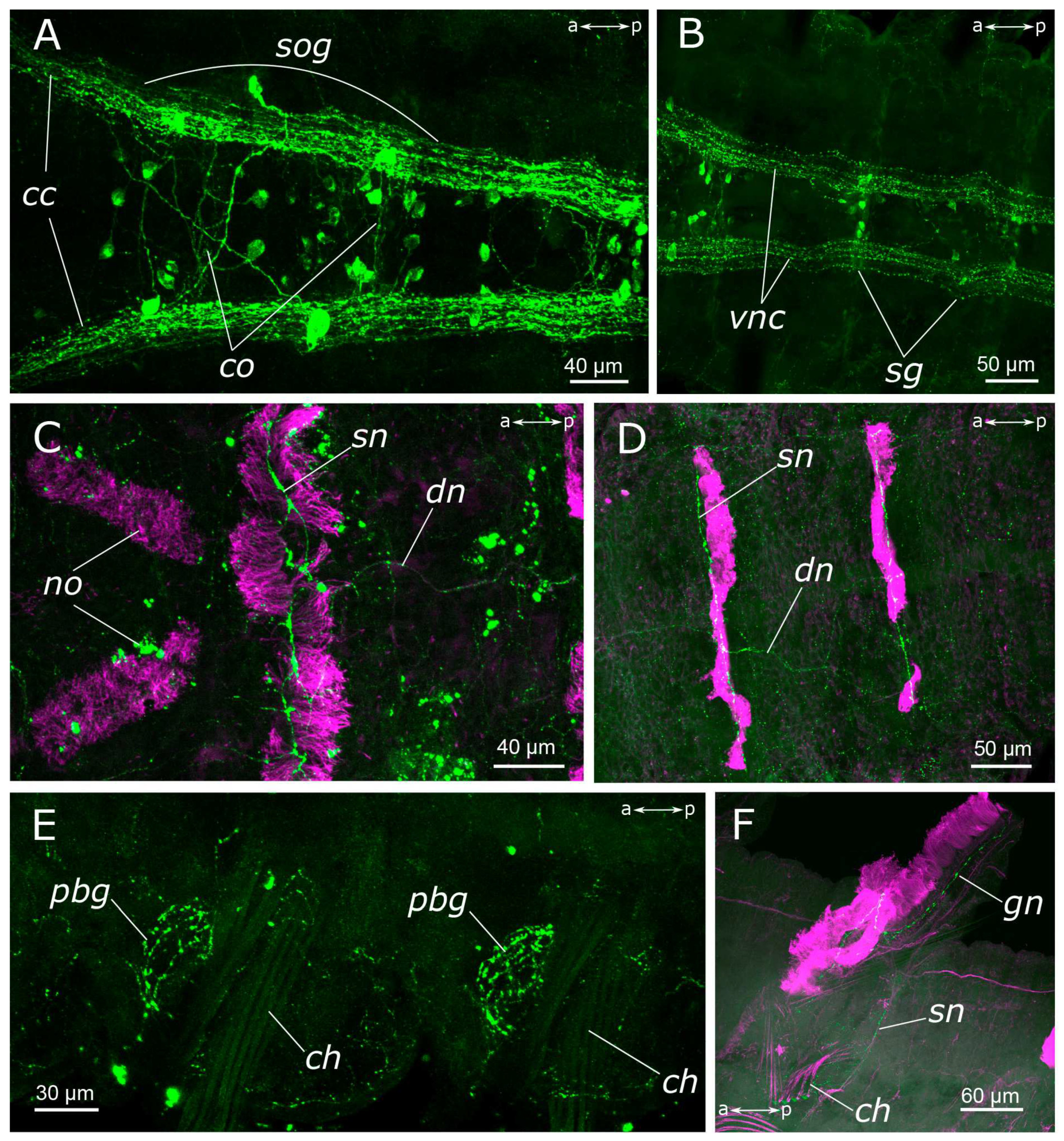 Biology 12 01412 g004