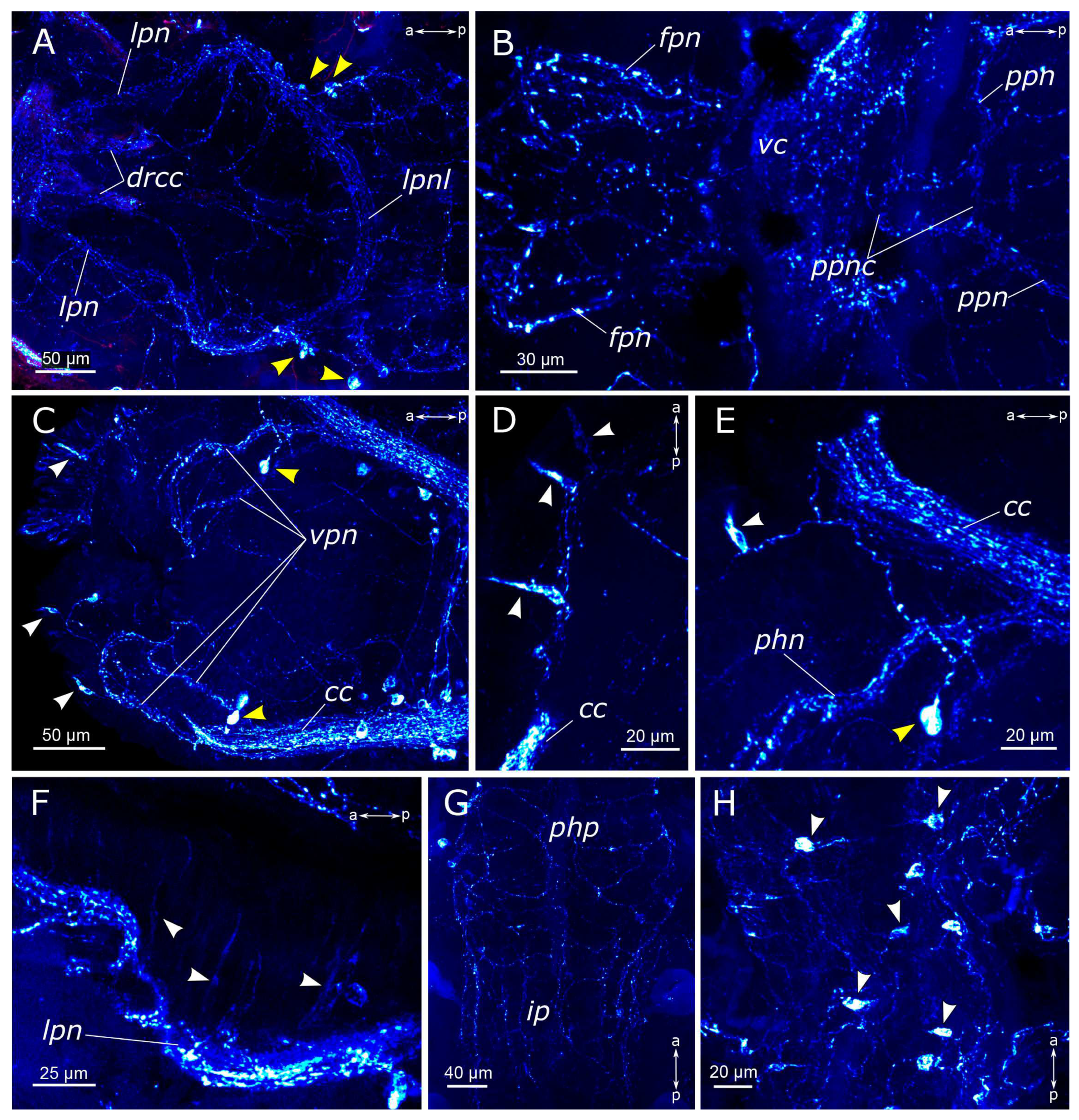 Biology 12 01412 g007