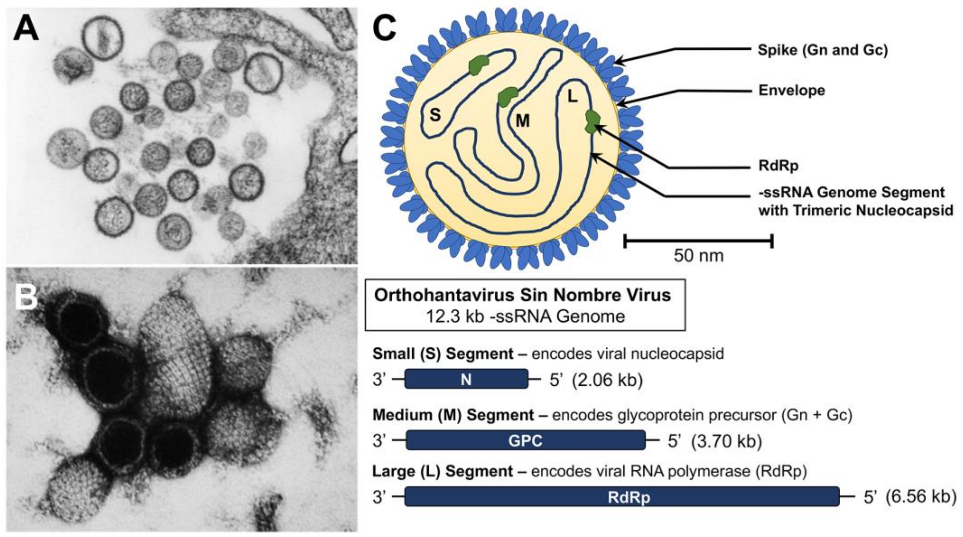 Biology 12 01413 g002
