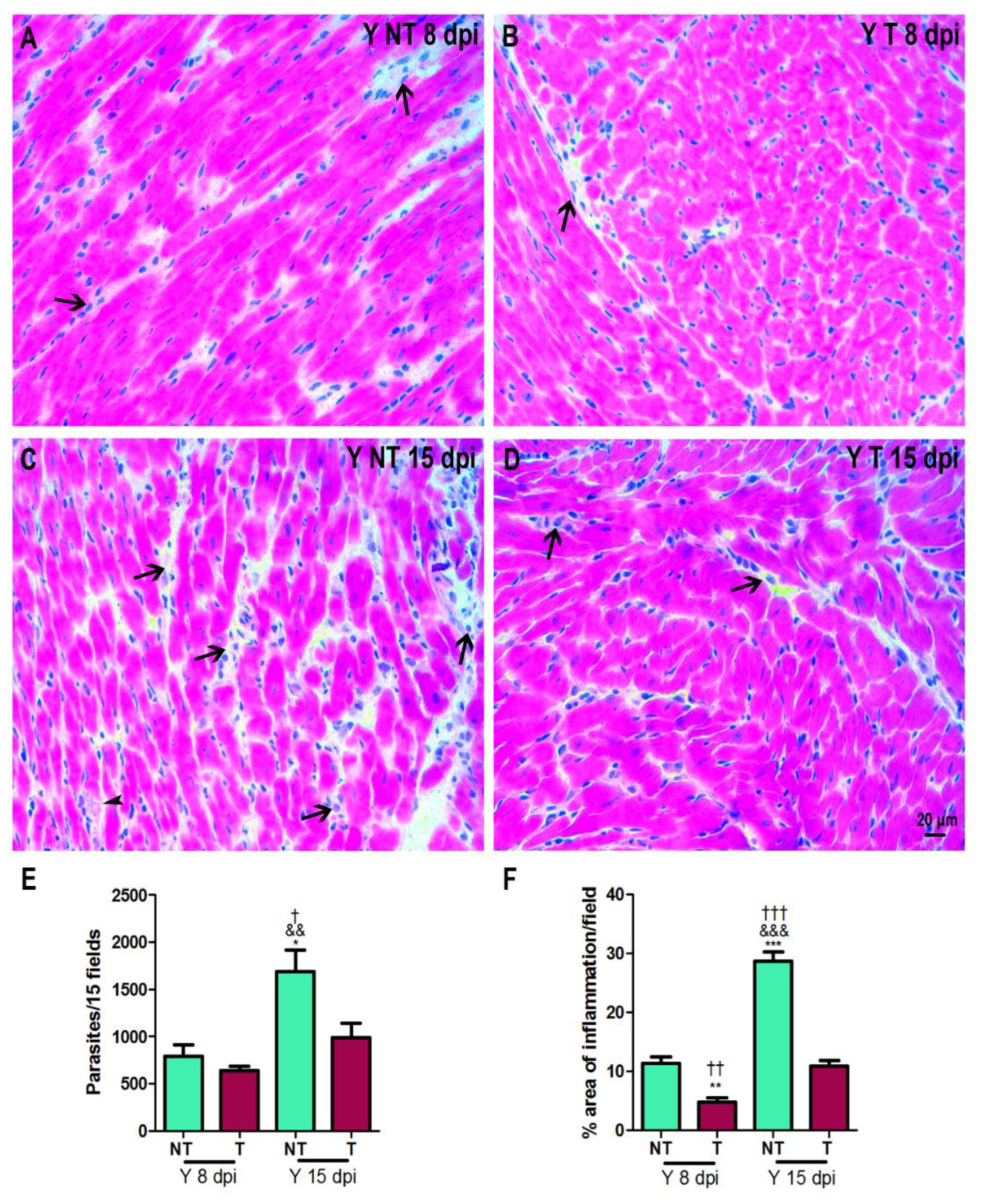 Biology 12 01414 g002 Biology 12 01414 g002