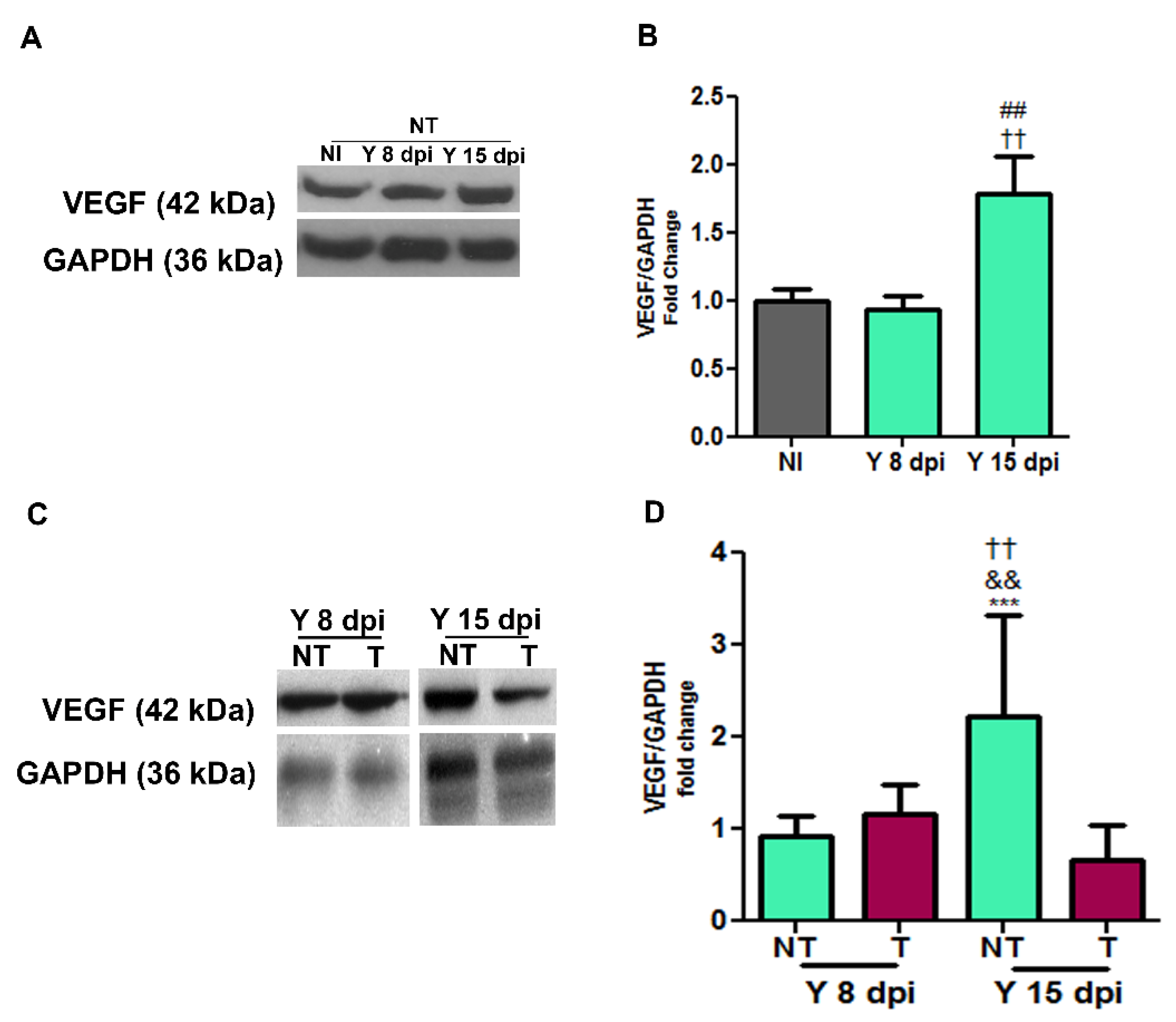 Biology 12 01414 g003 Biology 12 01414 g003