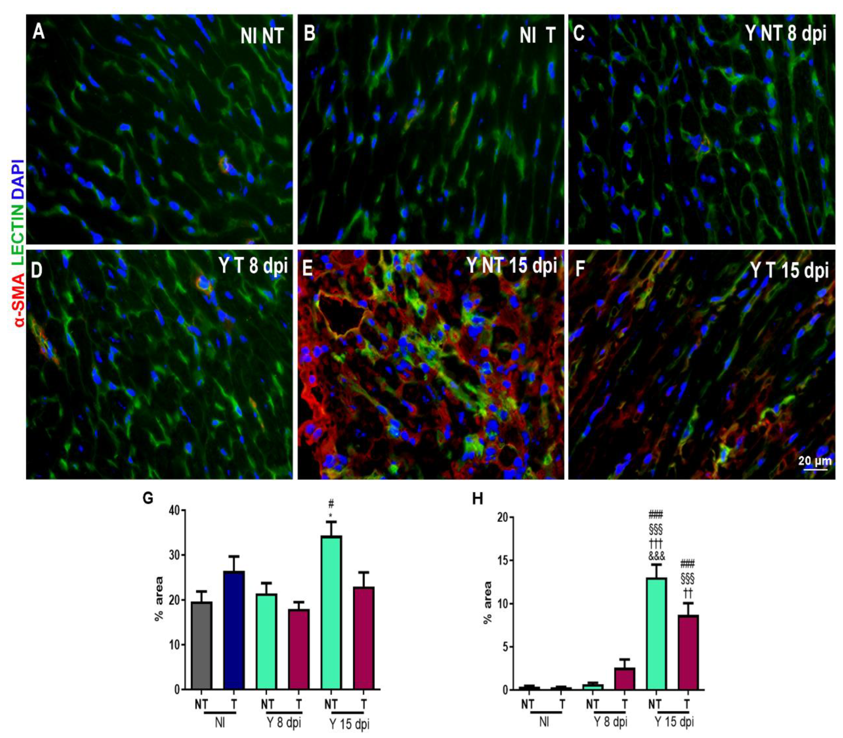 Biology 12 01414 g004 Biology 12 01414 g004