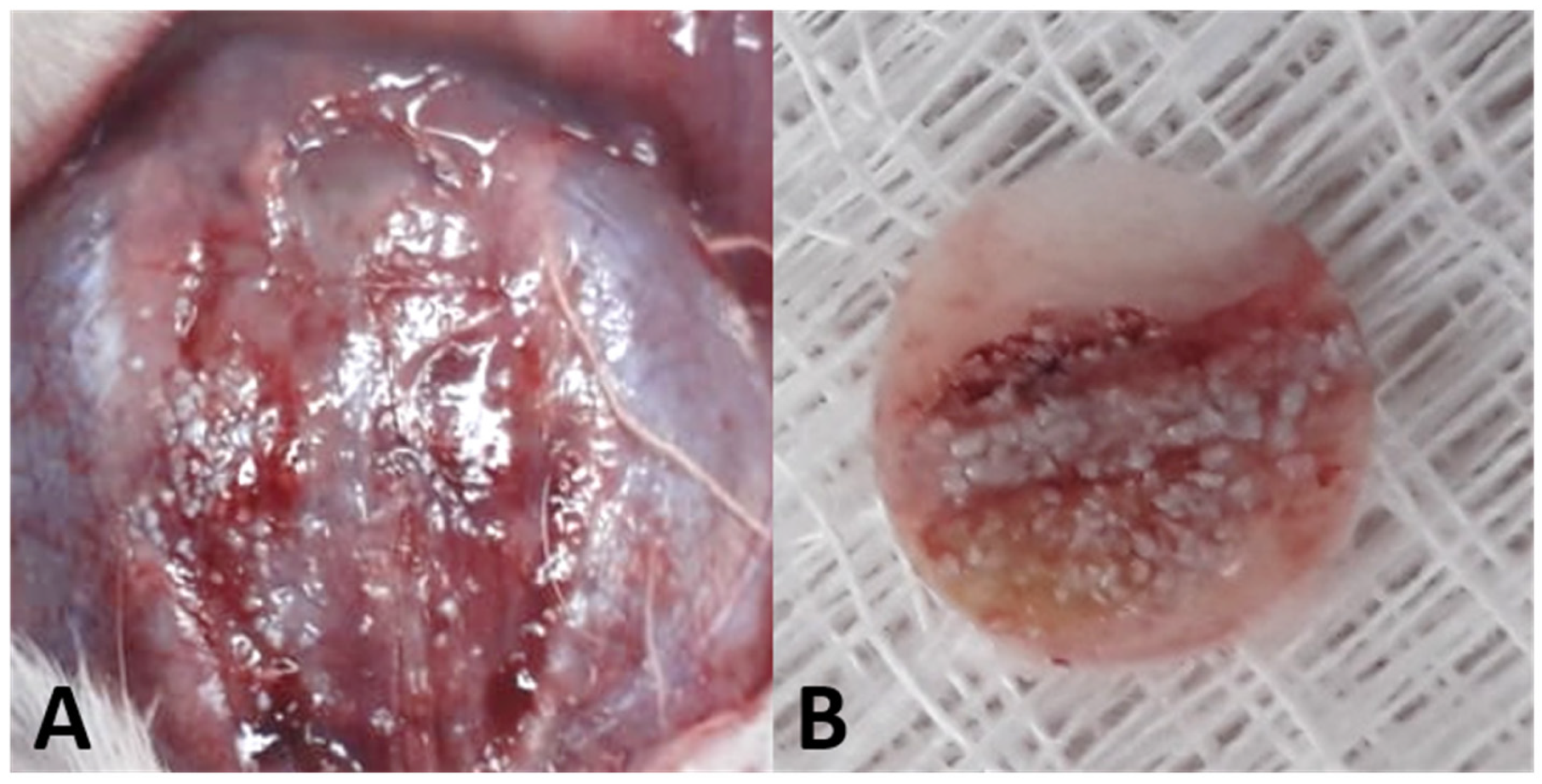 Biology 12 01417 g002