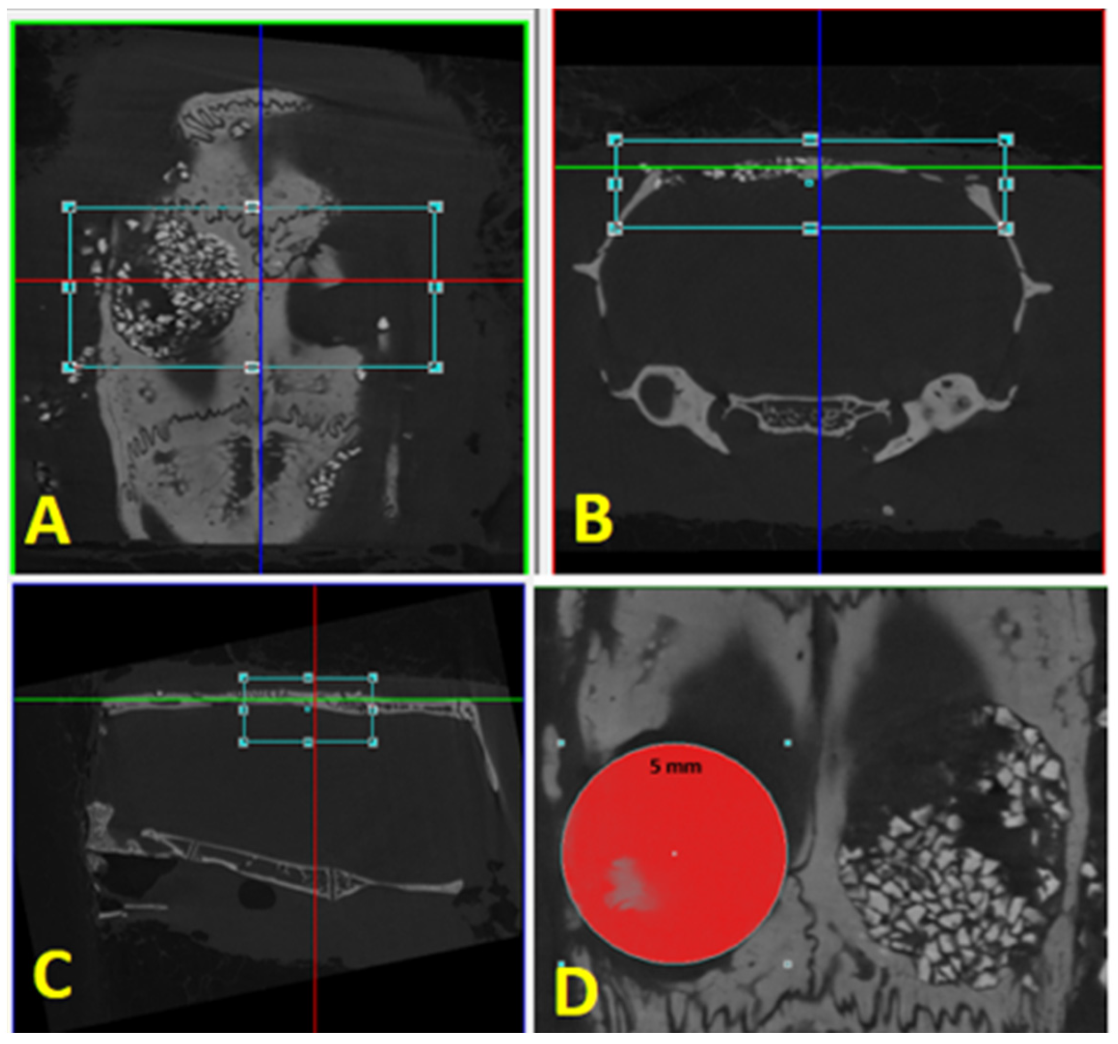 Biology 12 01417 g003