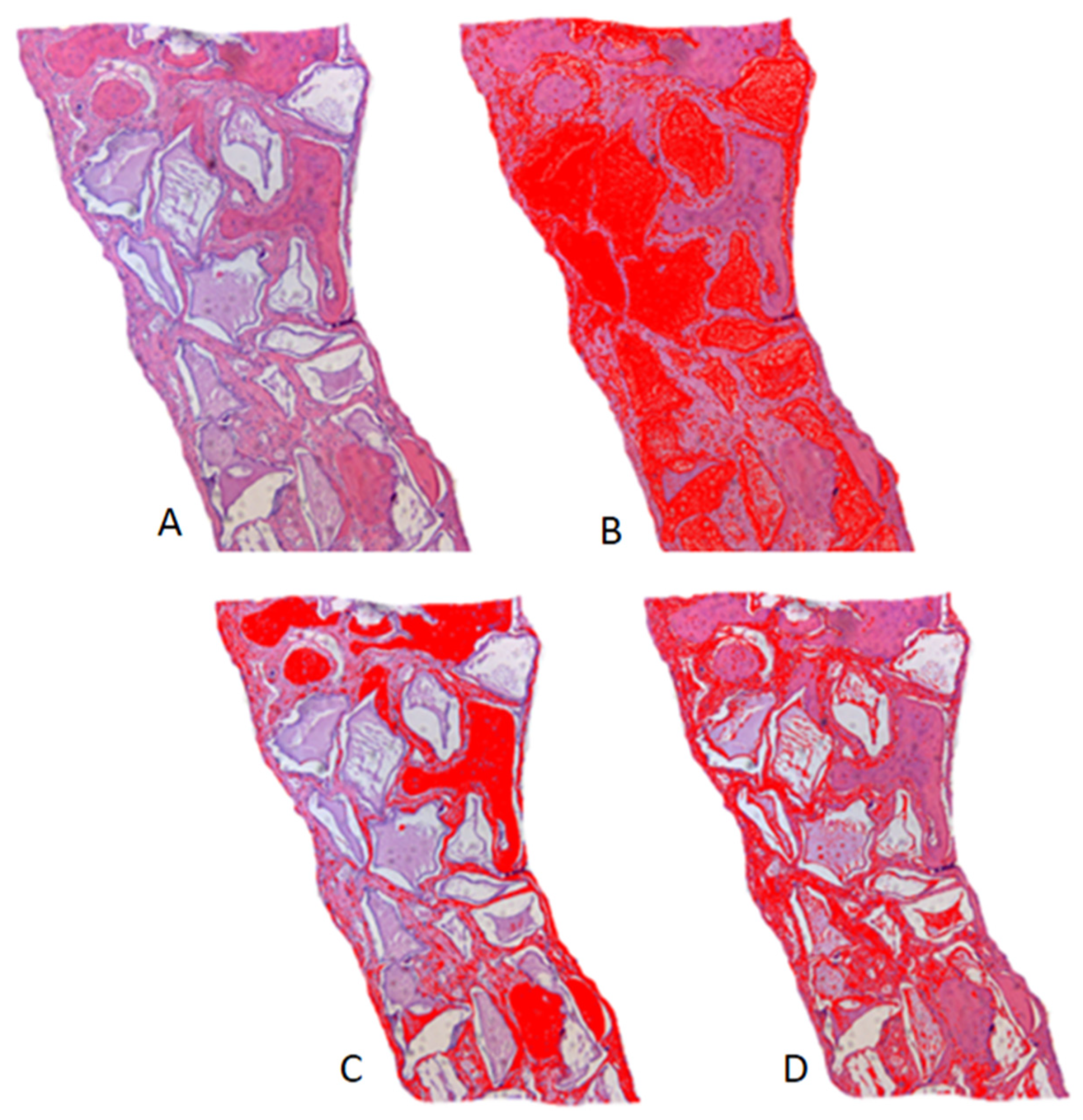 Biology 12 01417 g004