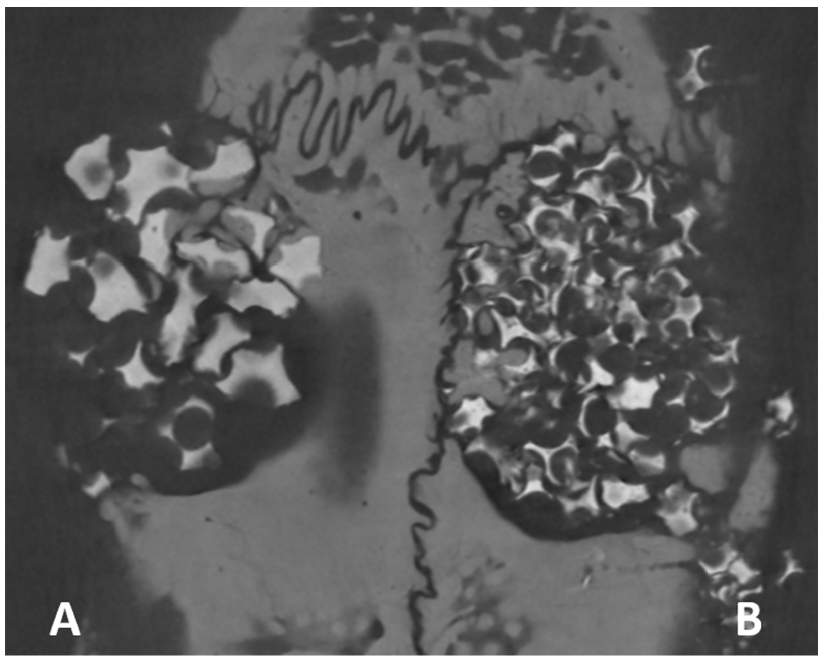 Biology 12 01417 g005