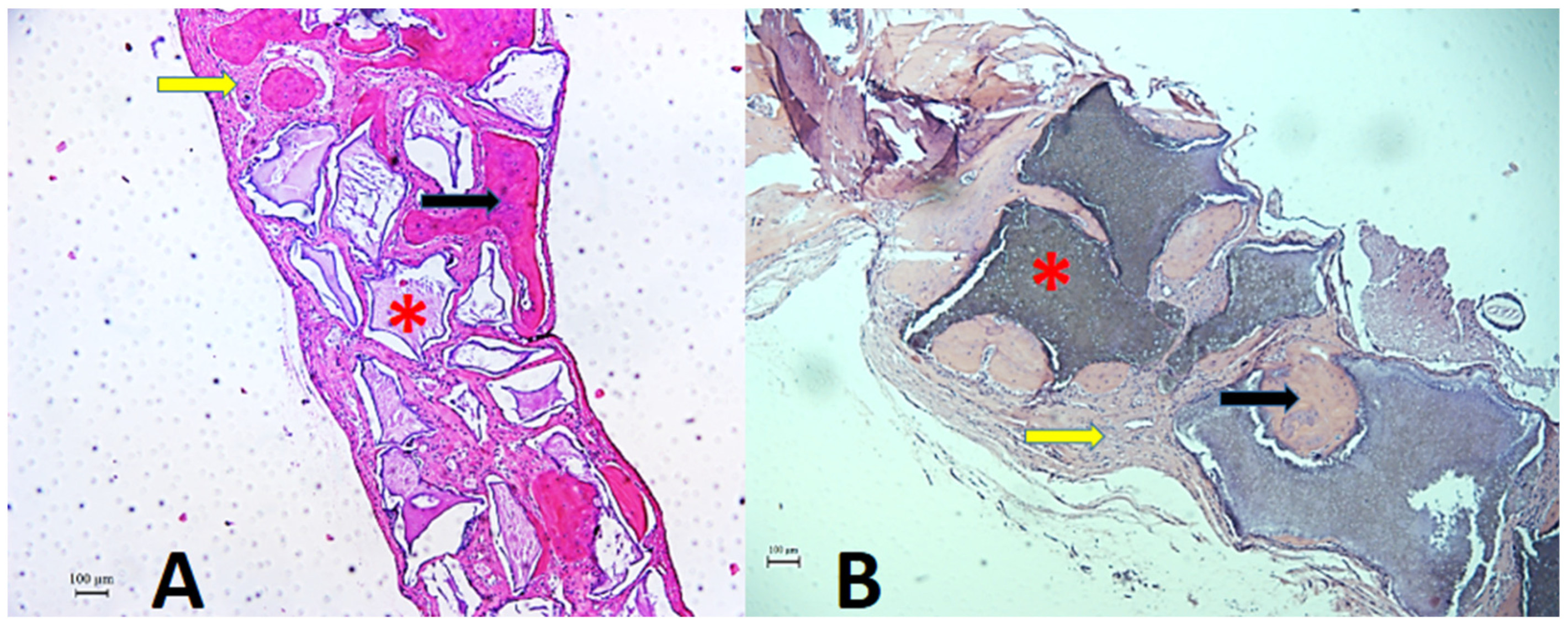 Biology 12 01417 g006